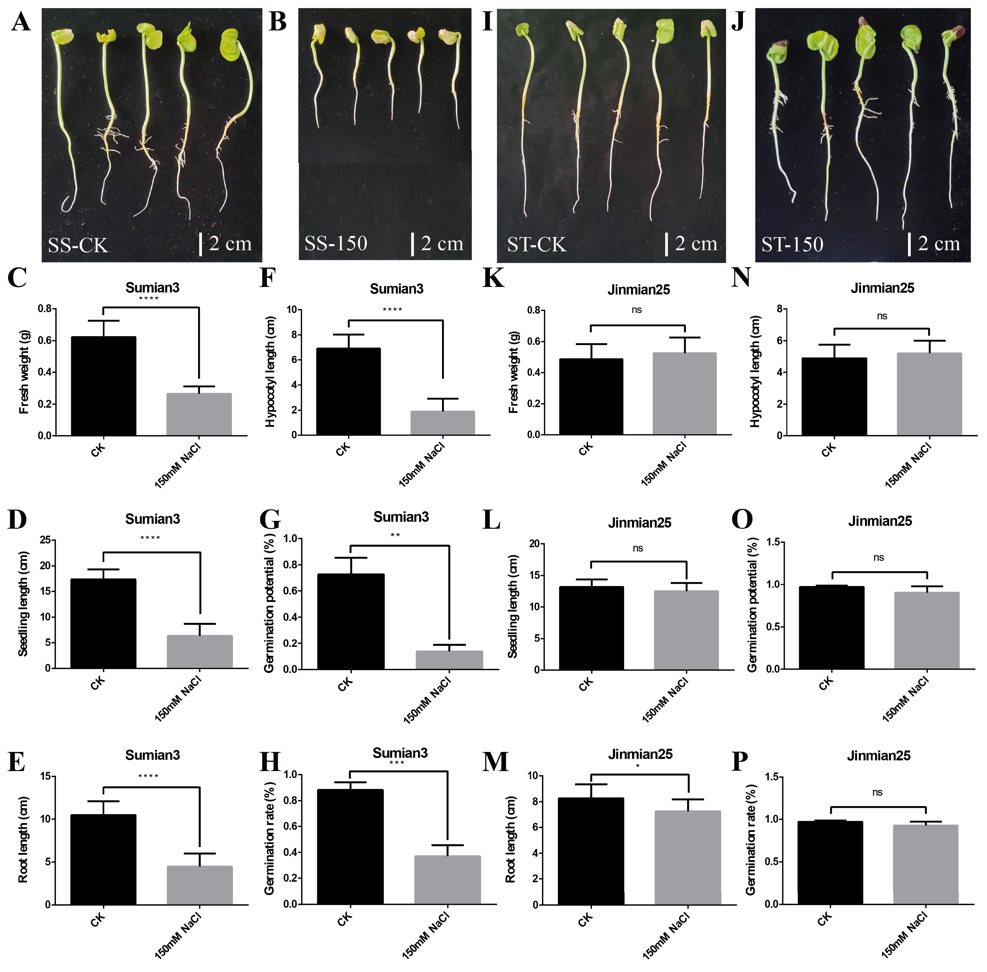 Preprints 121392 g001