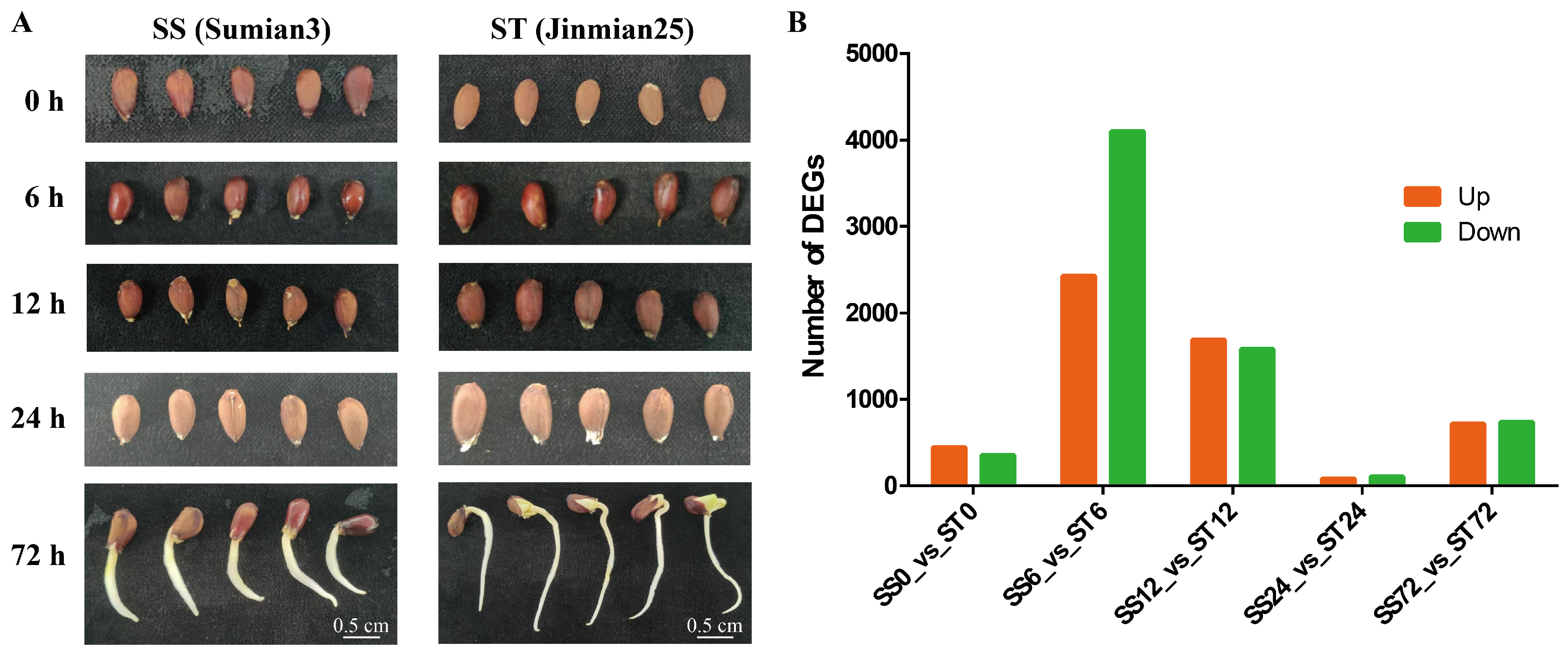 Preprints 121392 g002