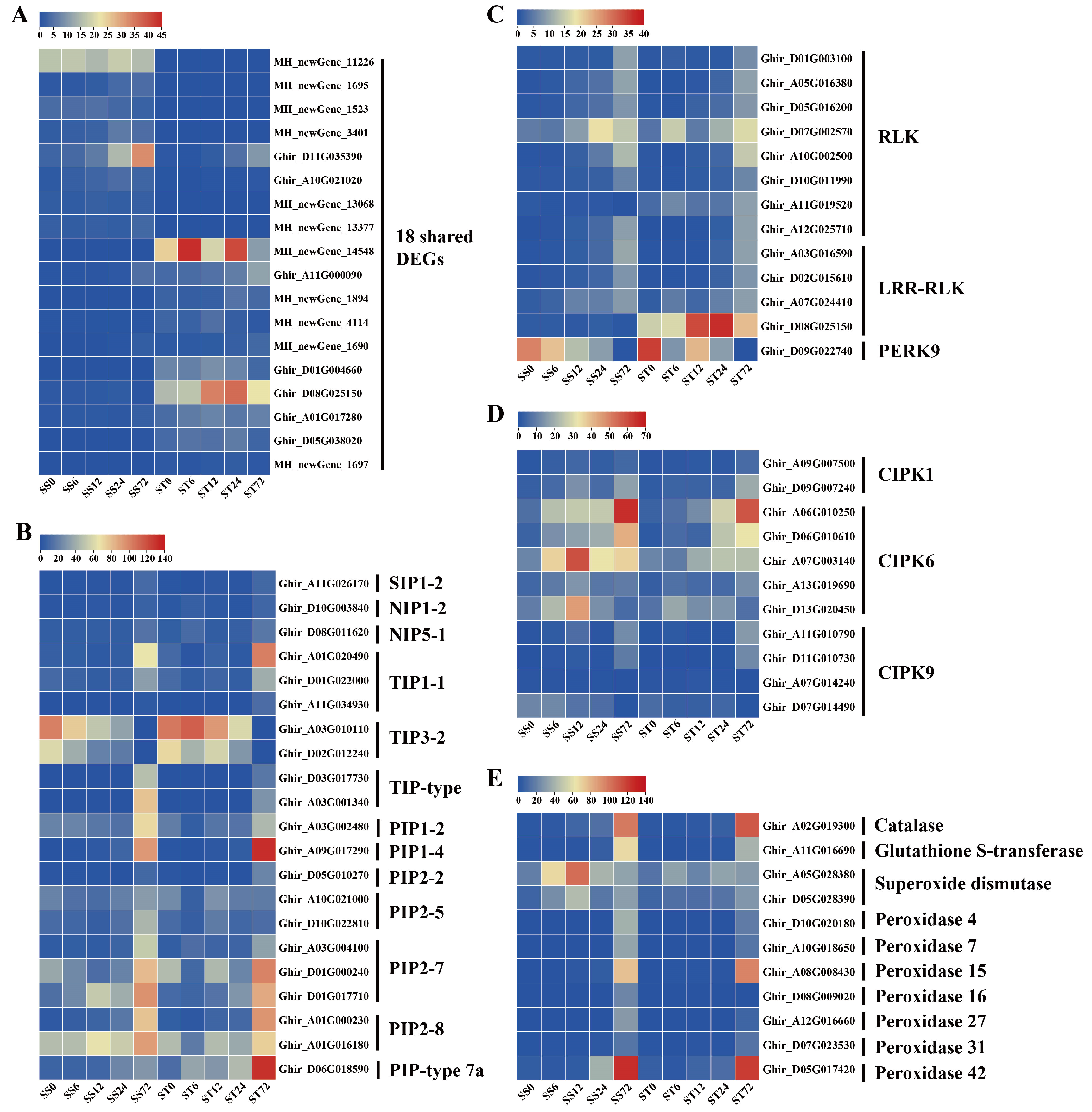 Preprints 121392 g004