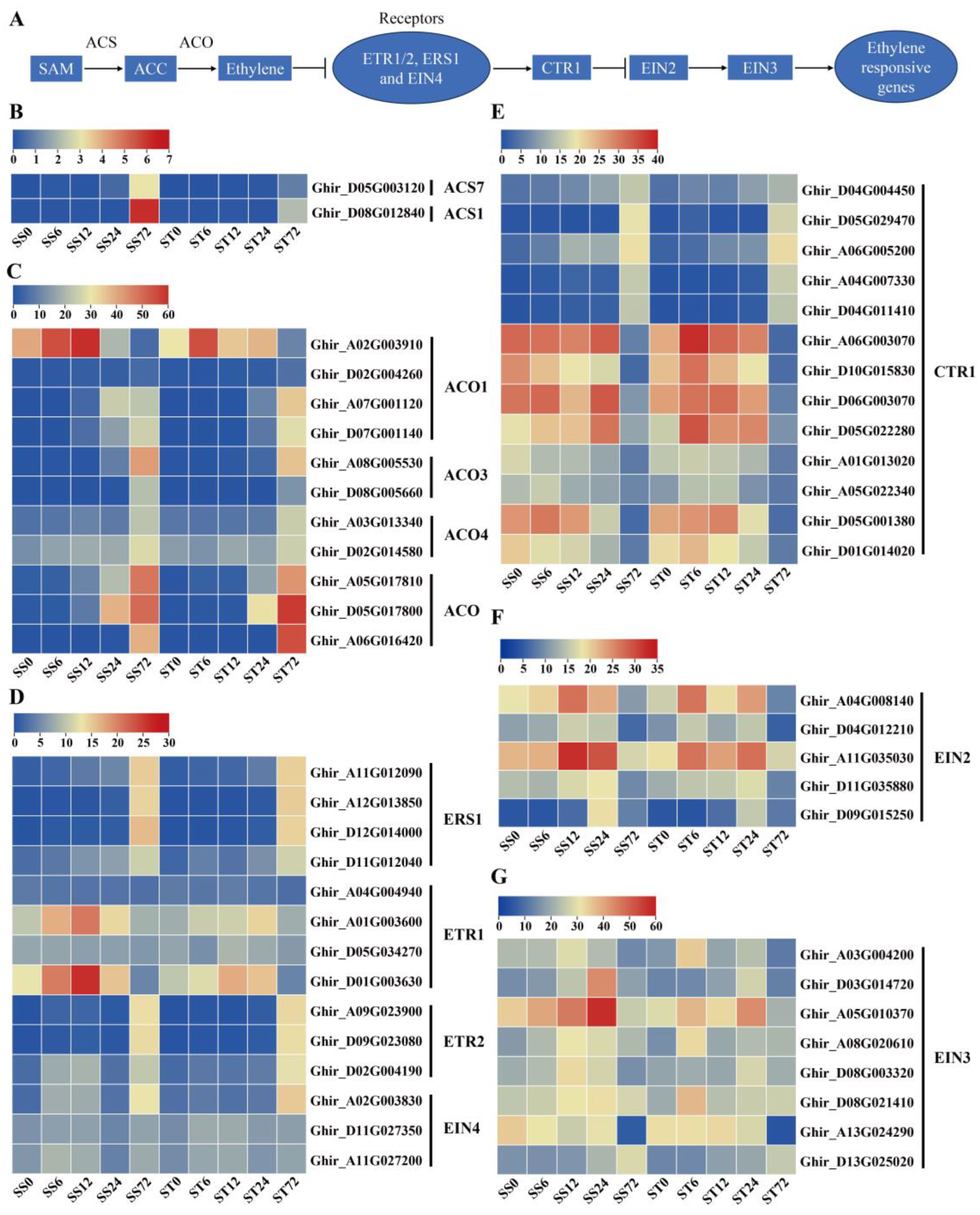 Preprints 121392 g005