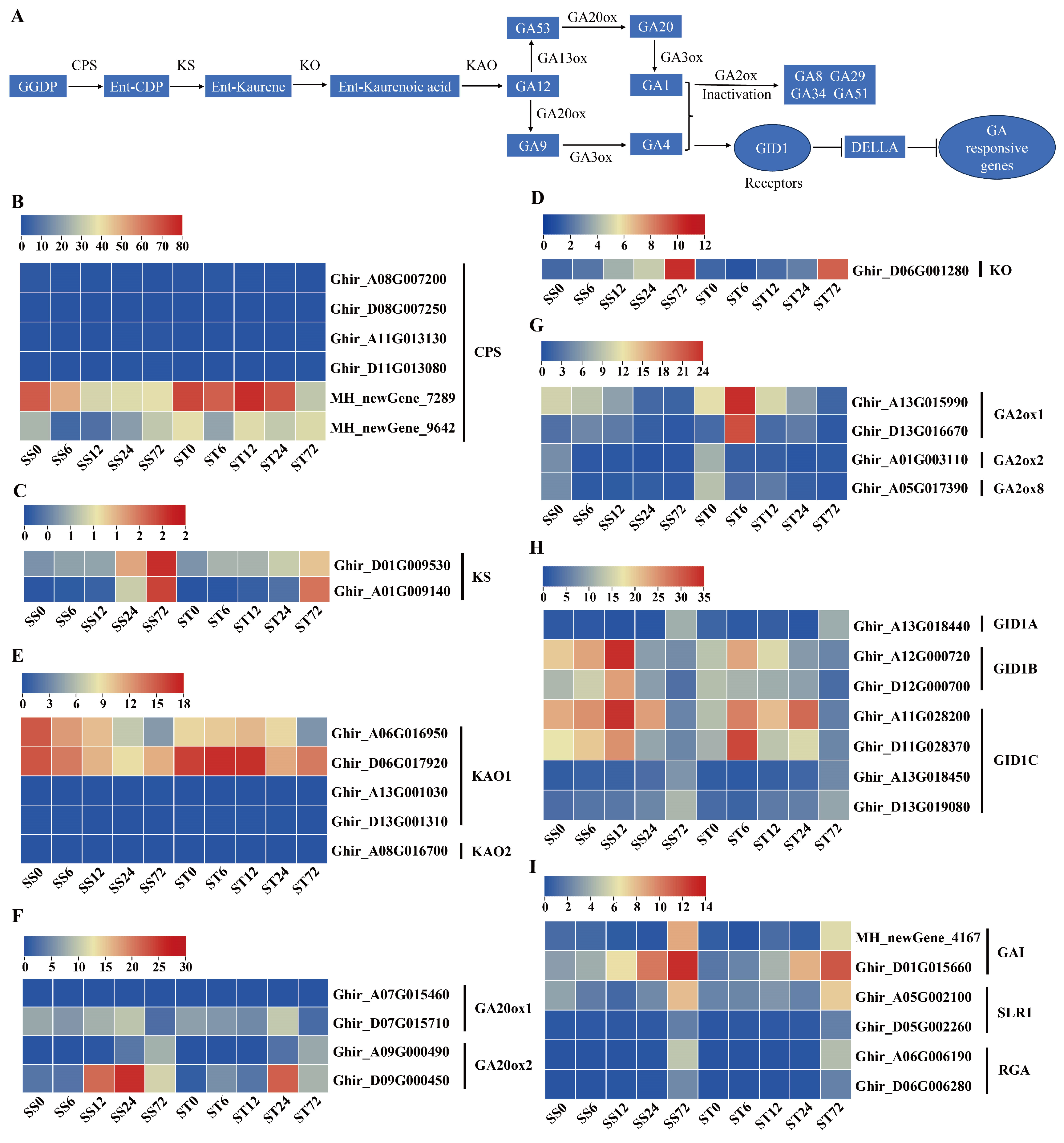 Preprints 121392 g006