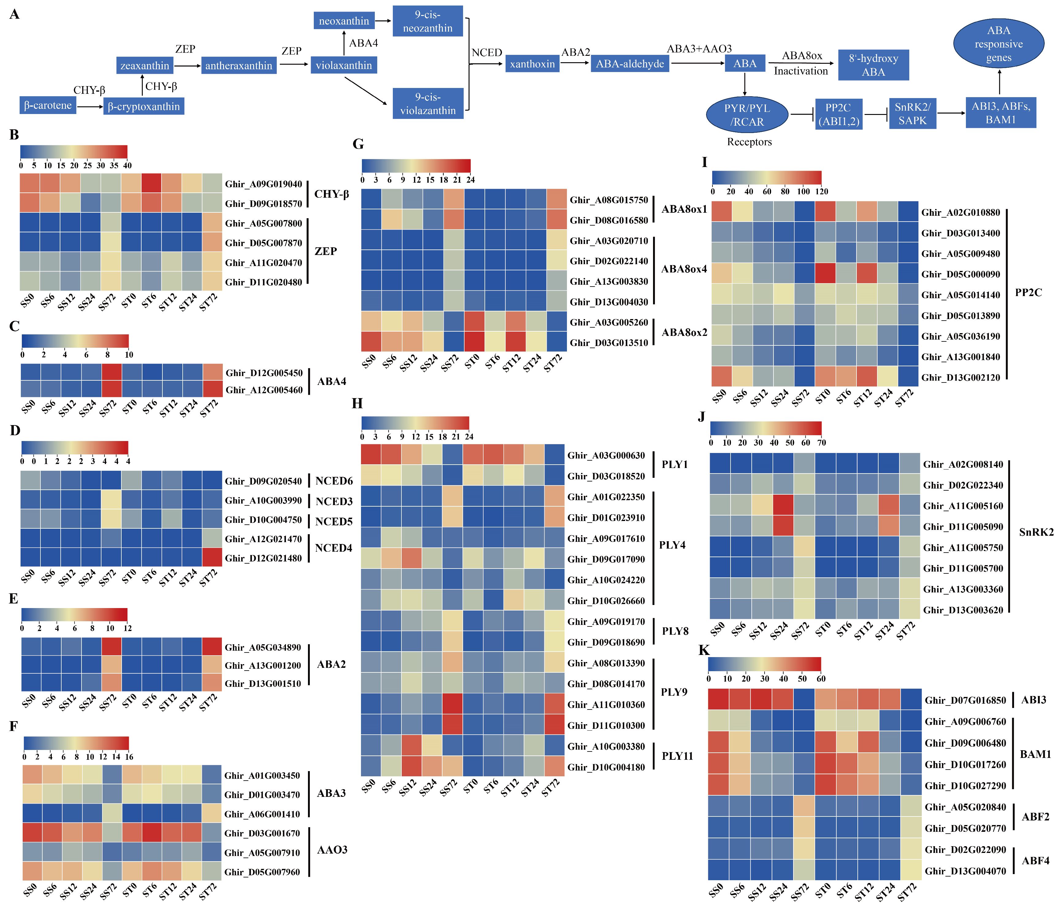 Preprints 121392 g007