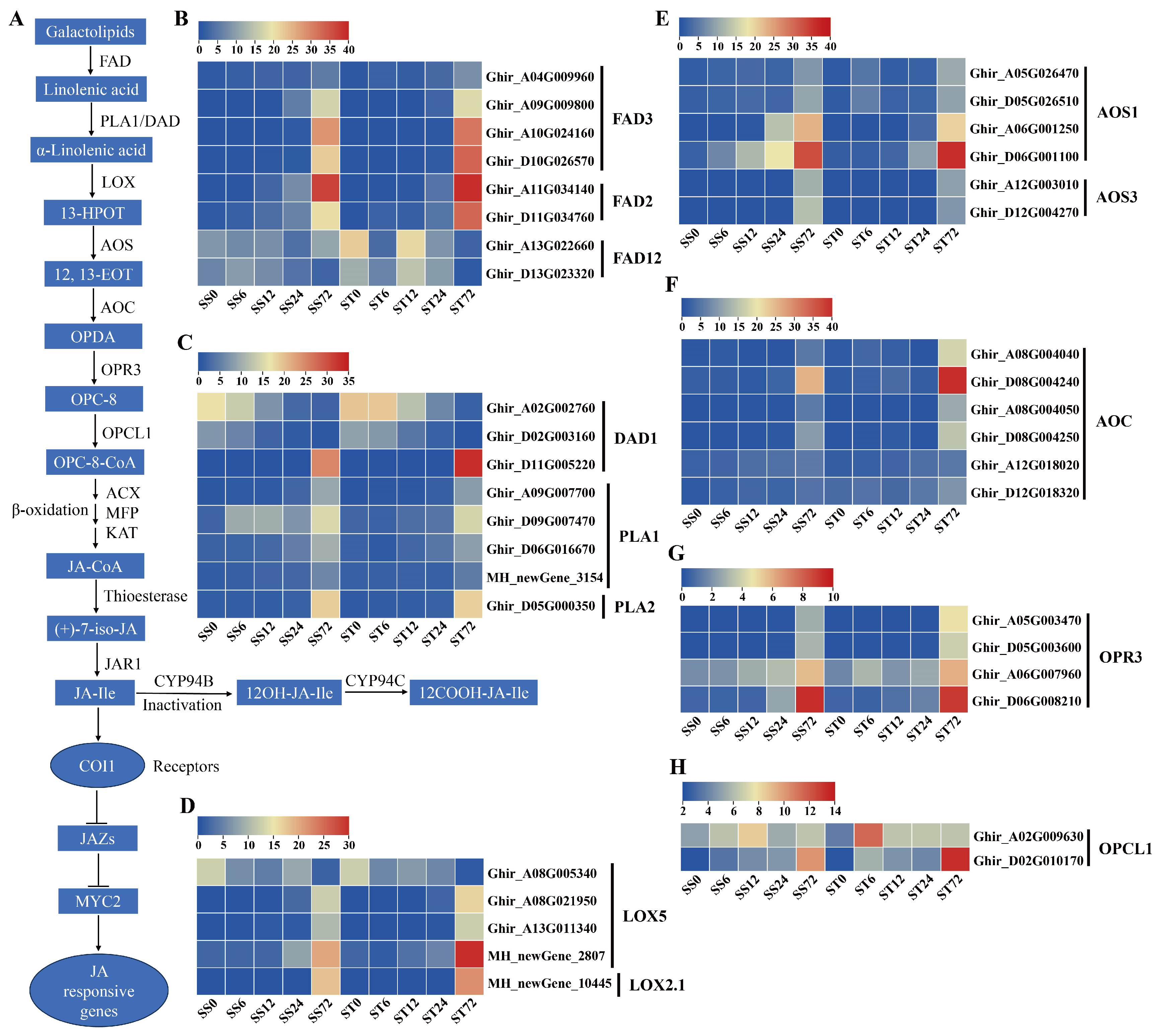 Preprints 121392 g008