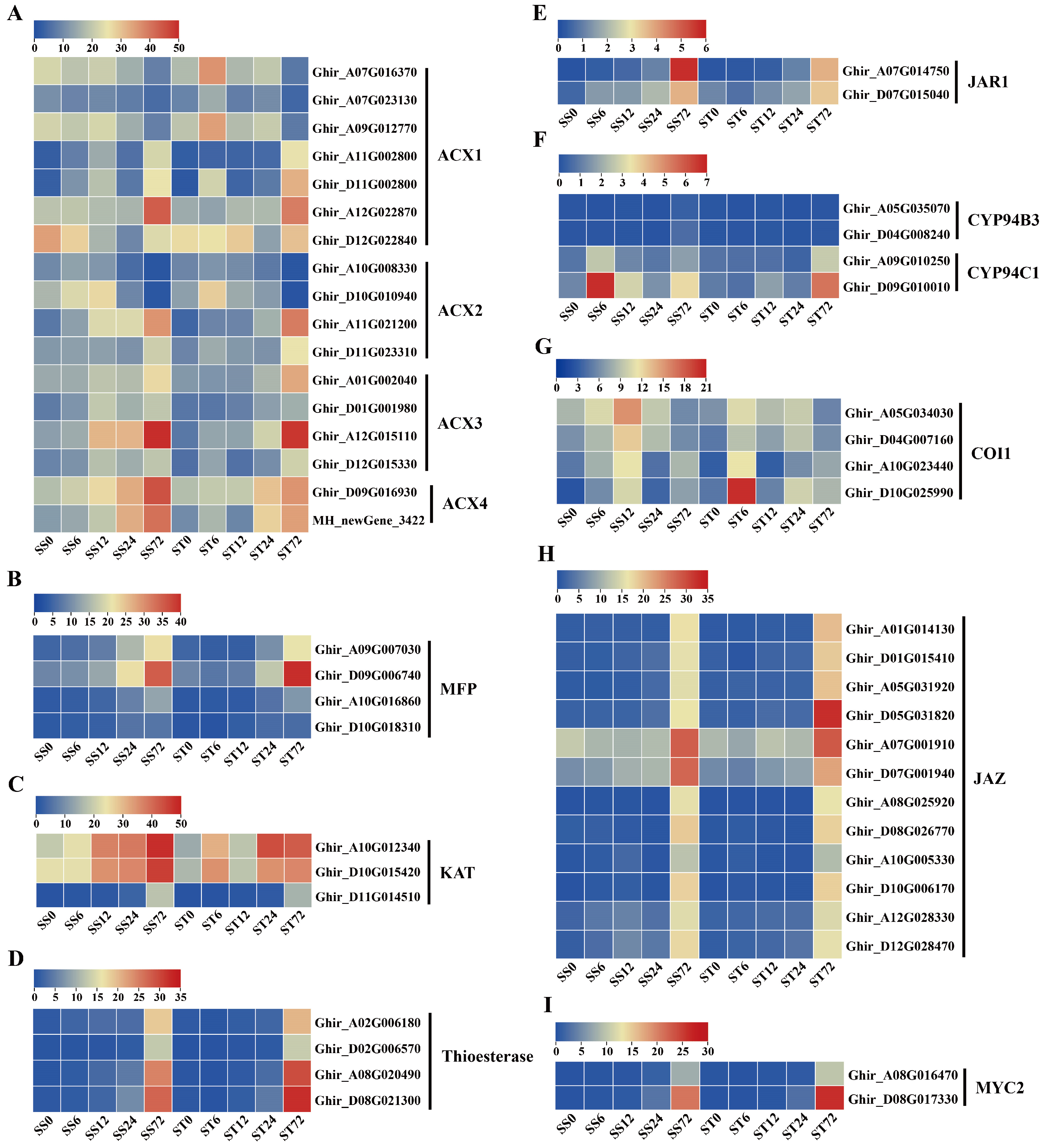 Preprints 121392 g009