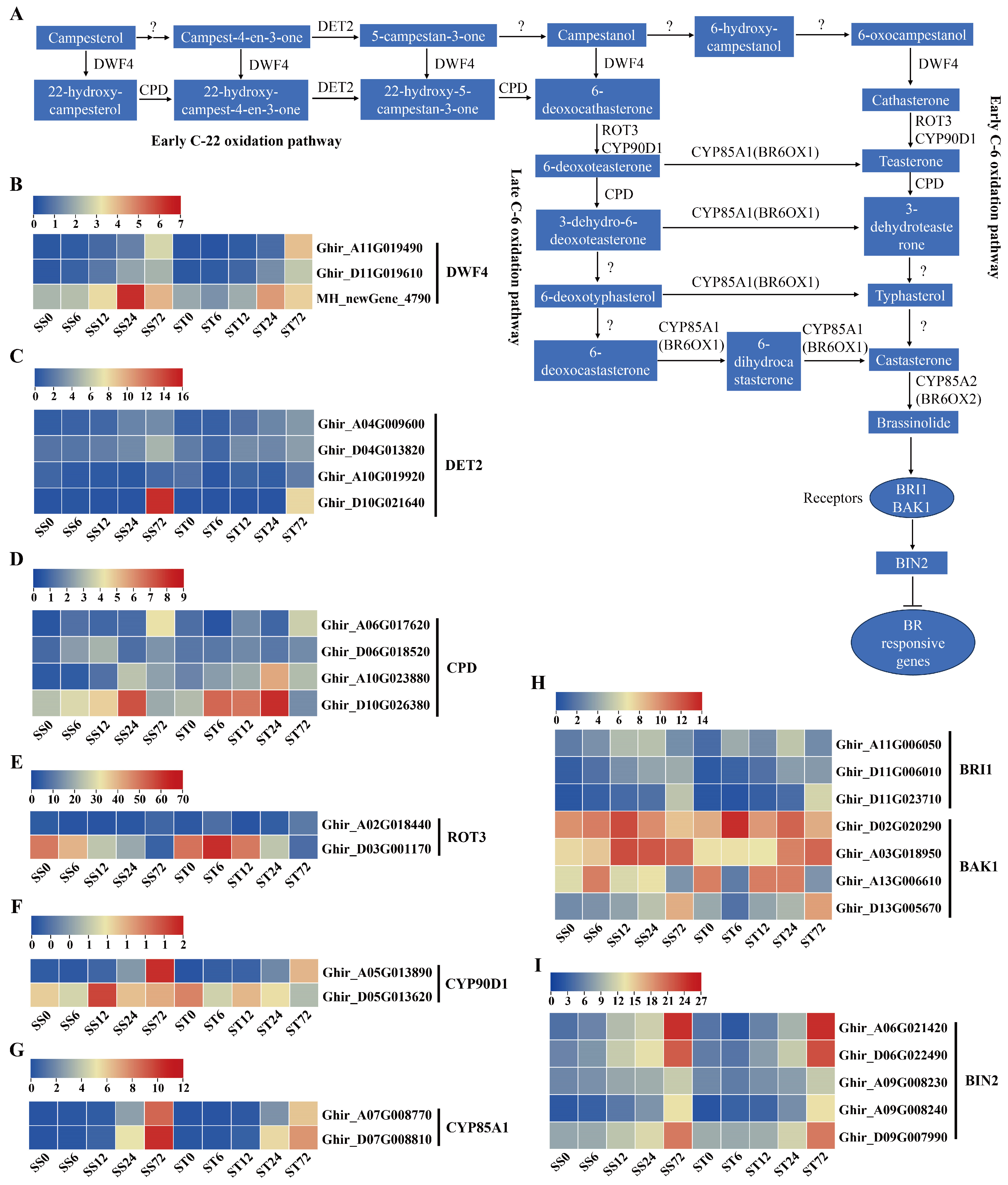 Preprints 121392 g010