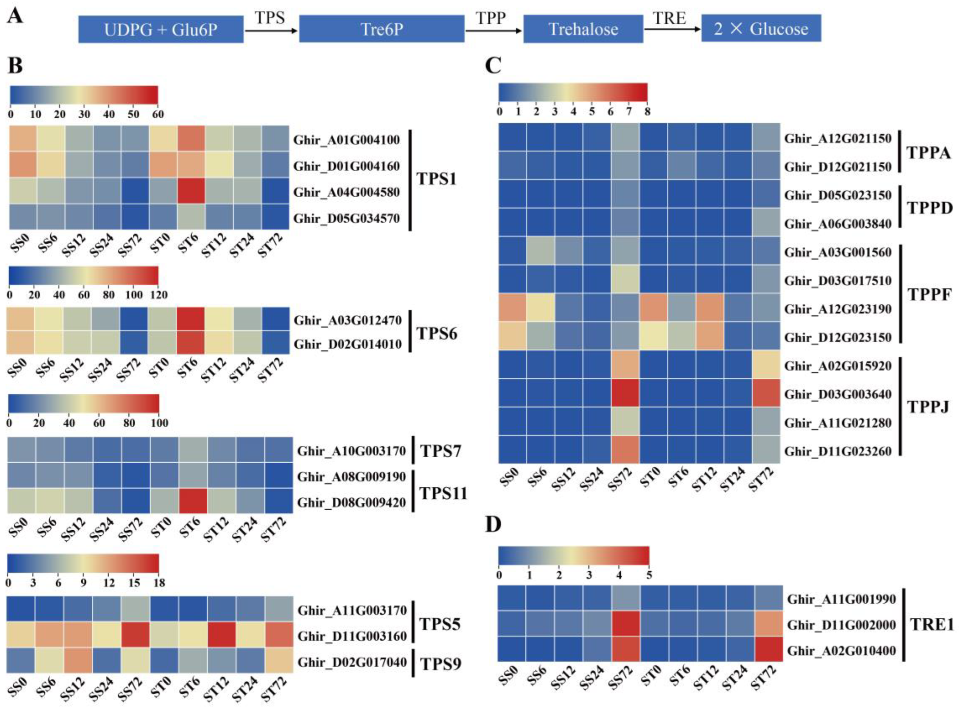 Preprints 121392 g011