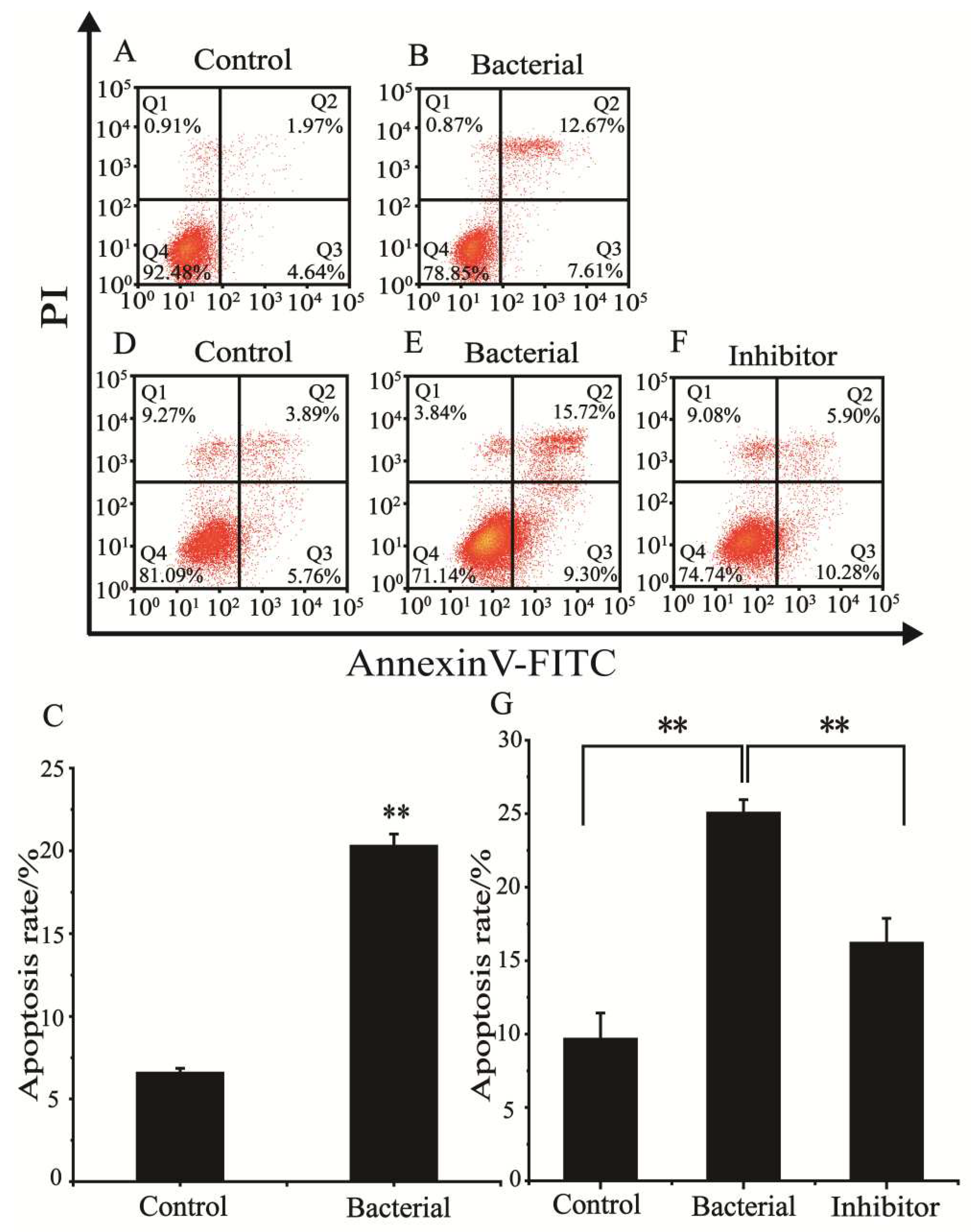 Preprints 73761 g002