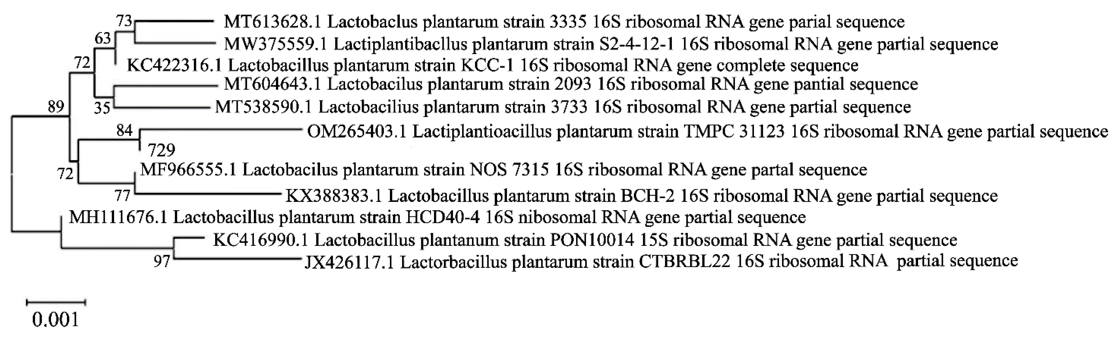 Preprints 73761 g004