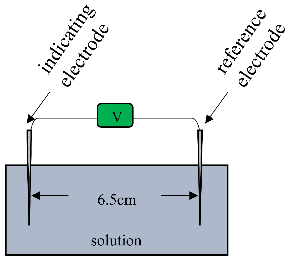 Preprints 98048 g002