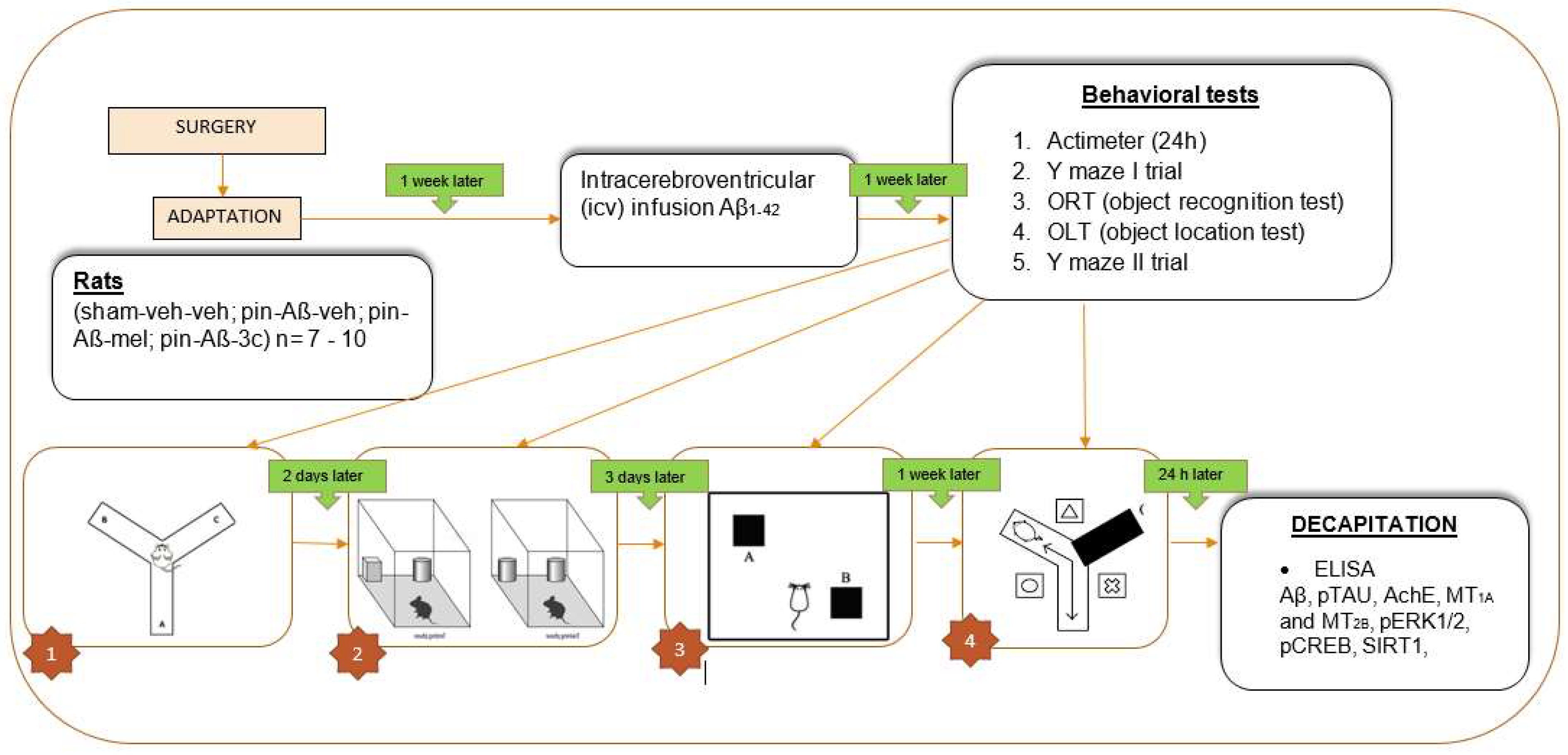 Preprints 96843 g010