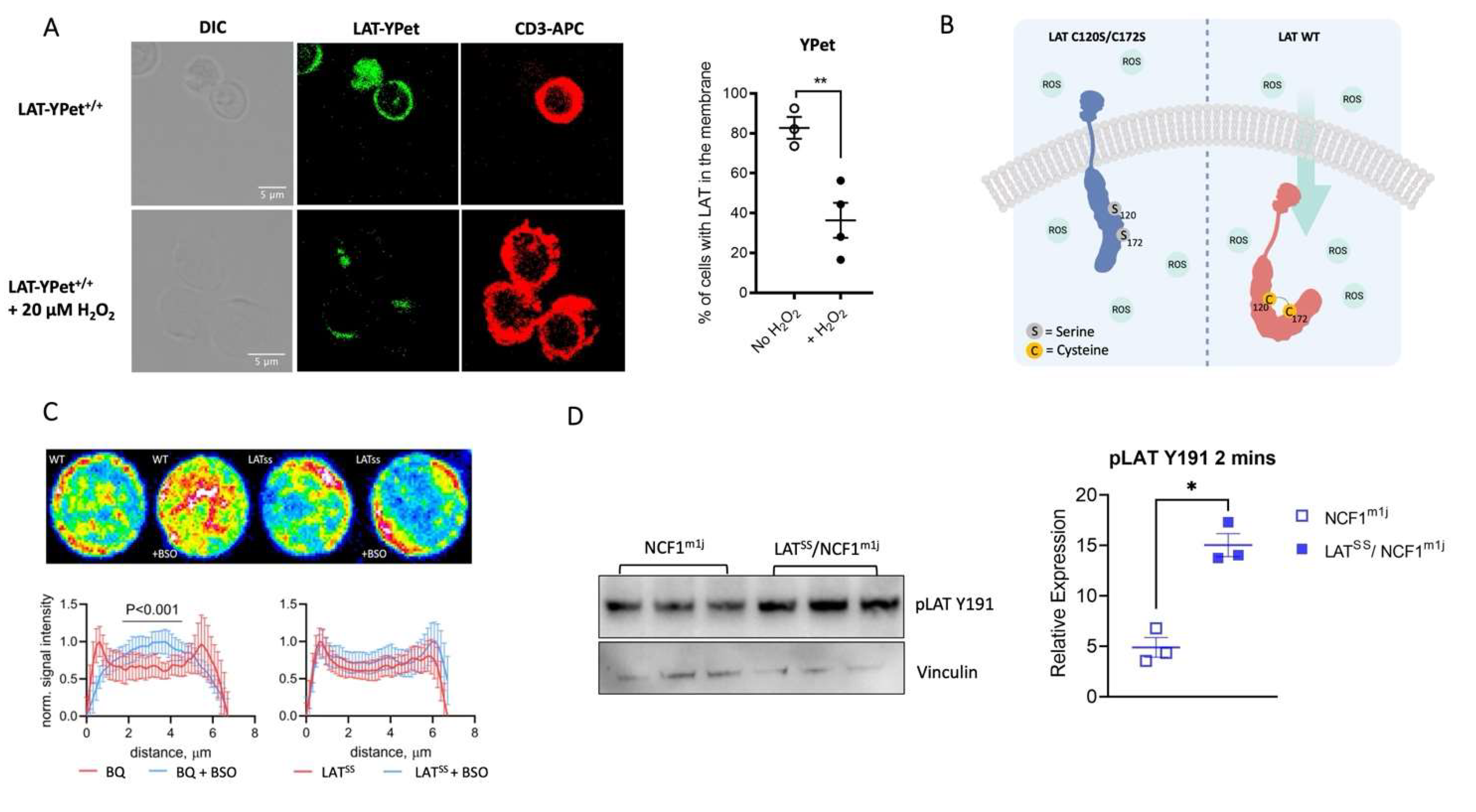 Preprints 100822 g001