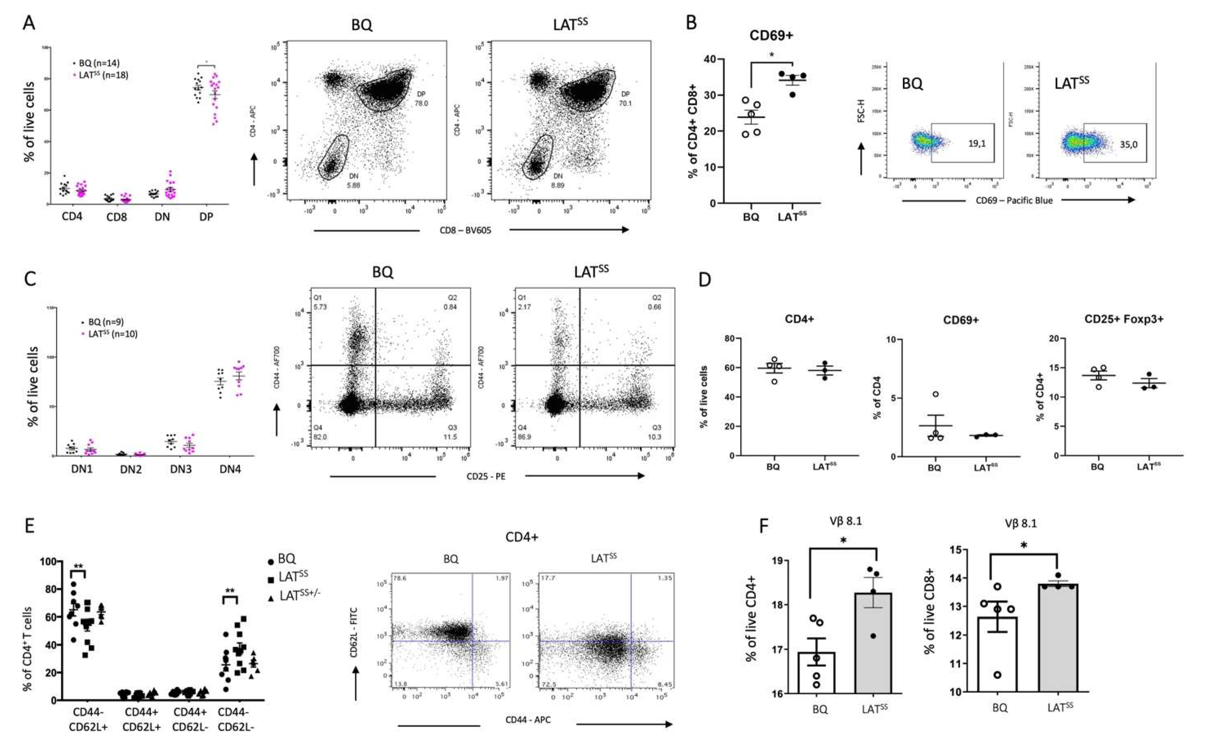 Preprints 100822 g002