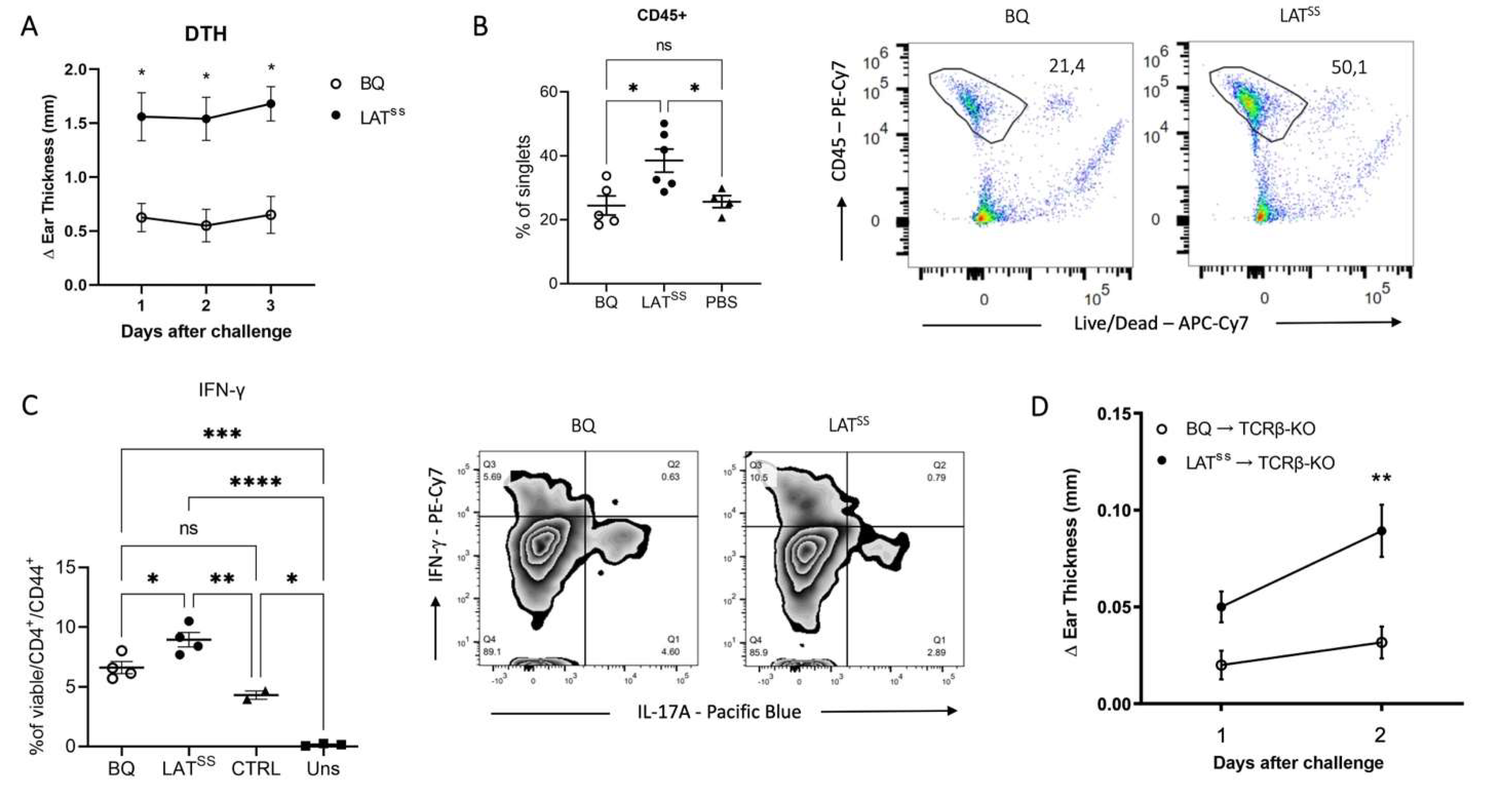 Preprints 100822 g003