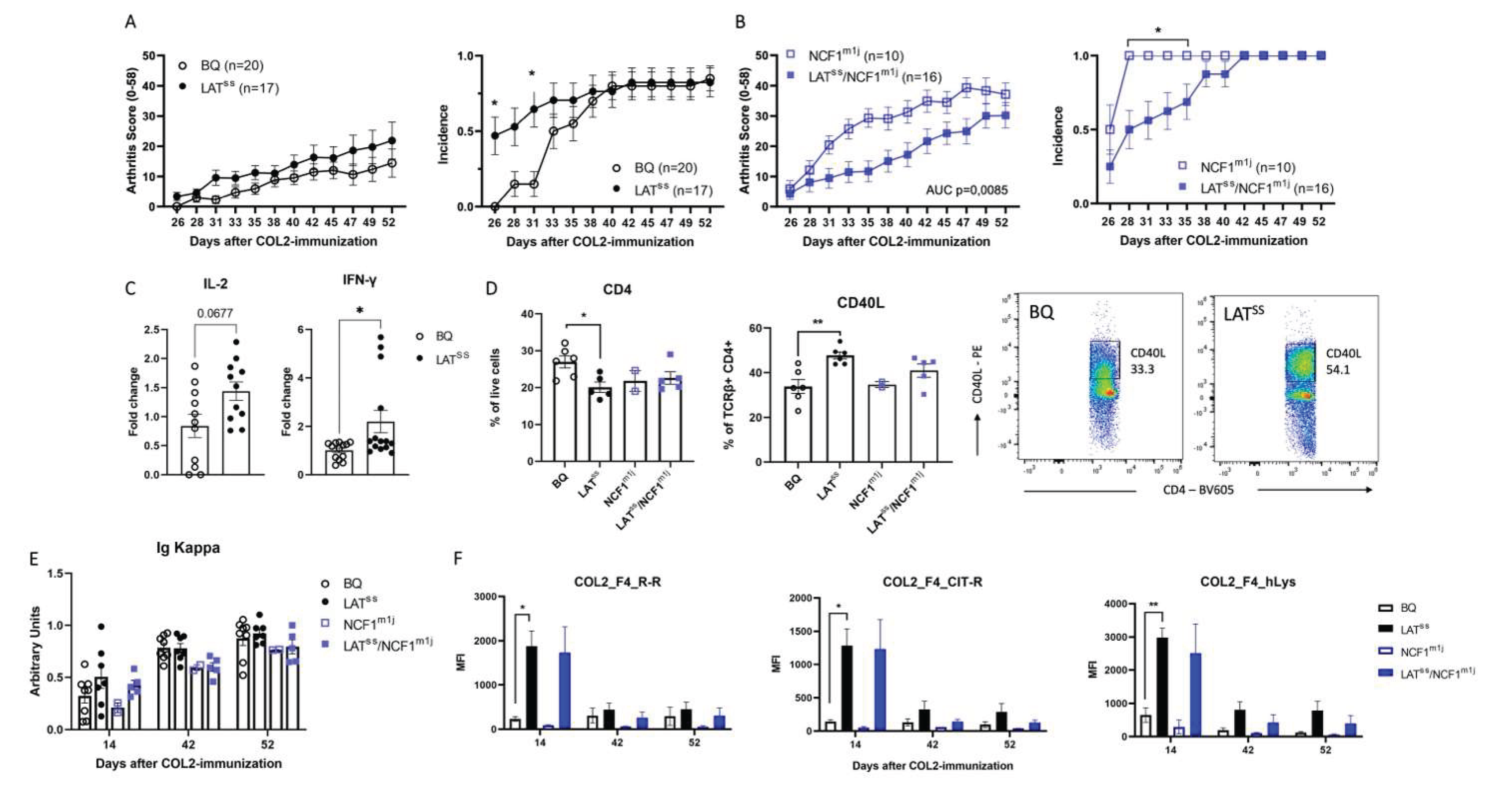 Preprints 100822 g004