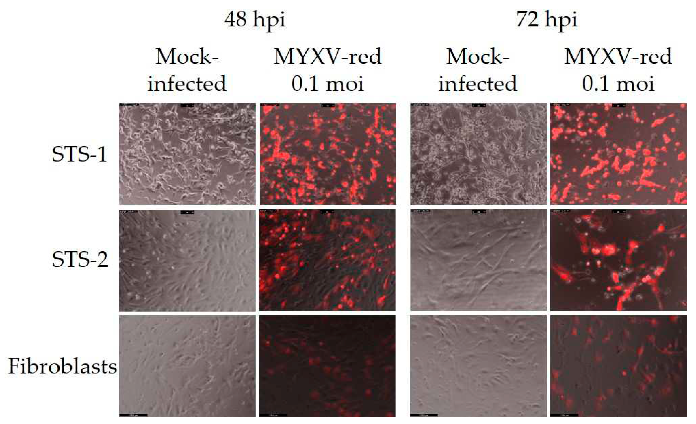 Preprints 79738 g003