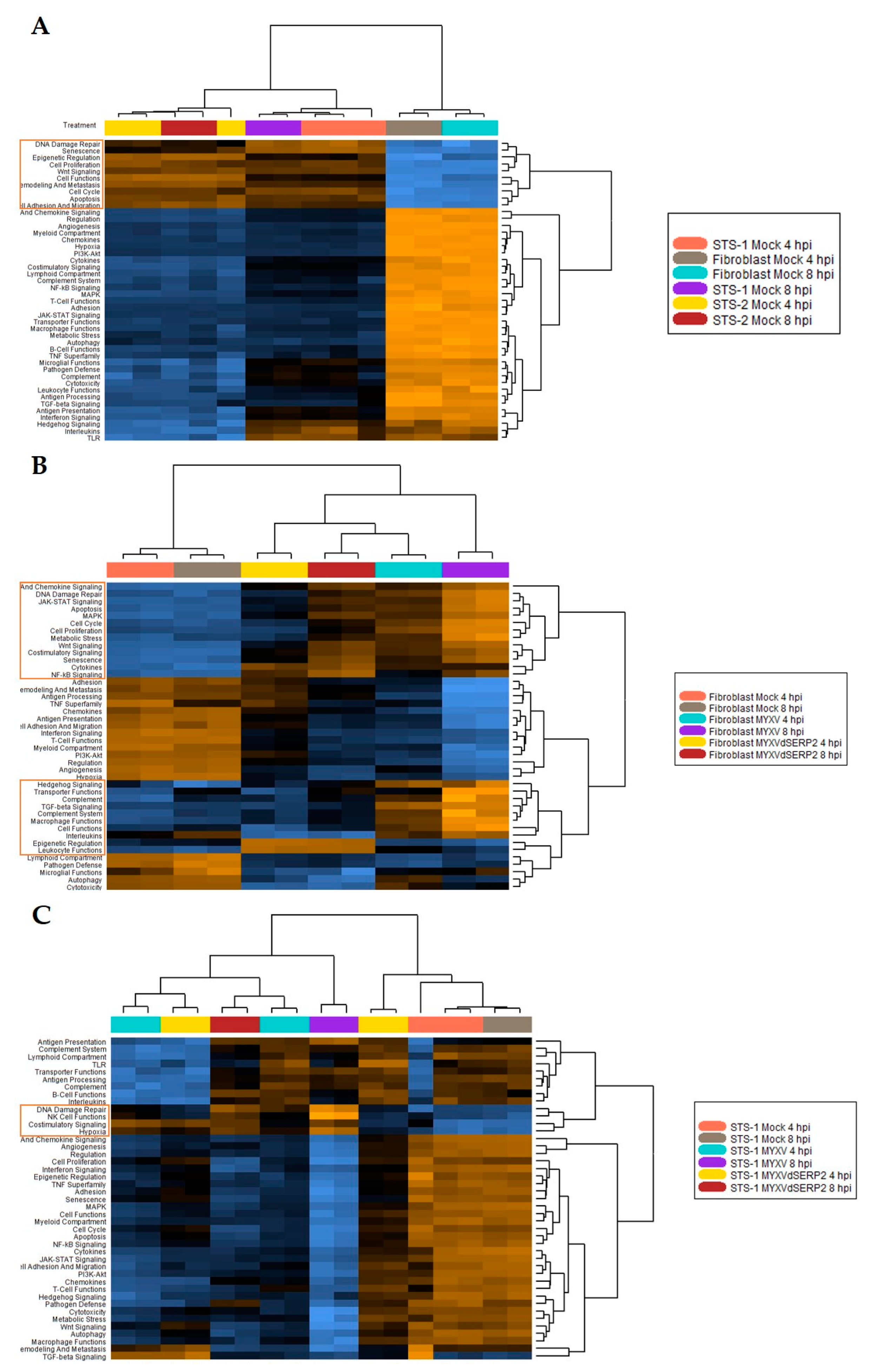 Preprints 79738 g005a