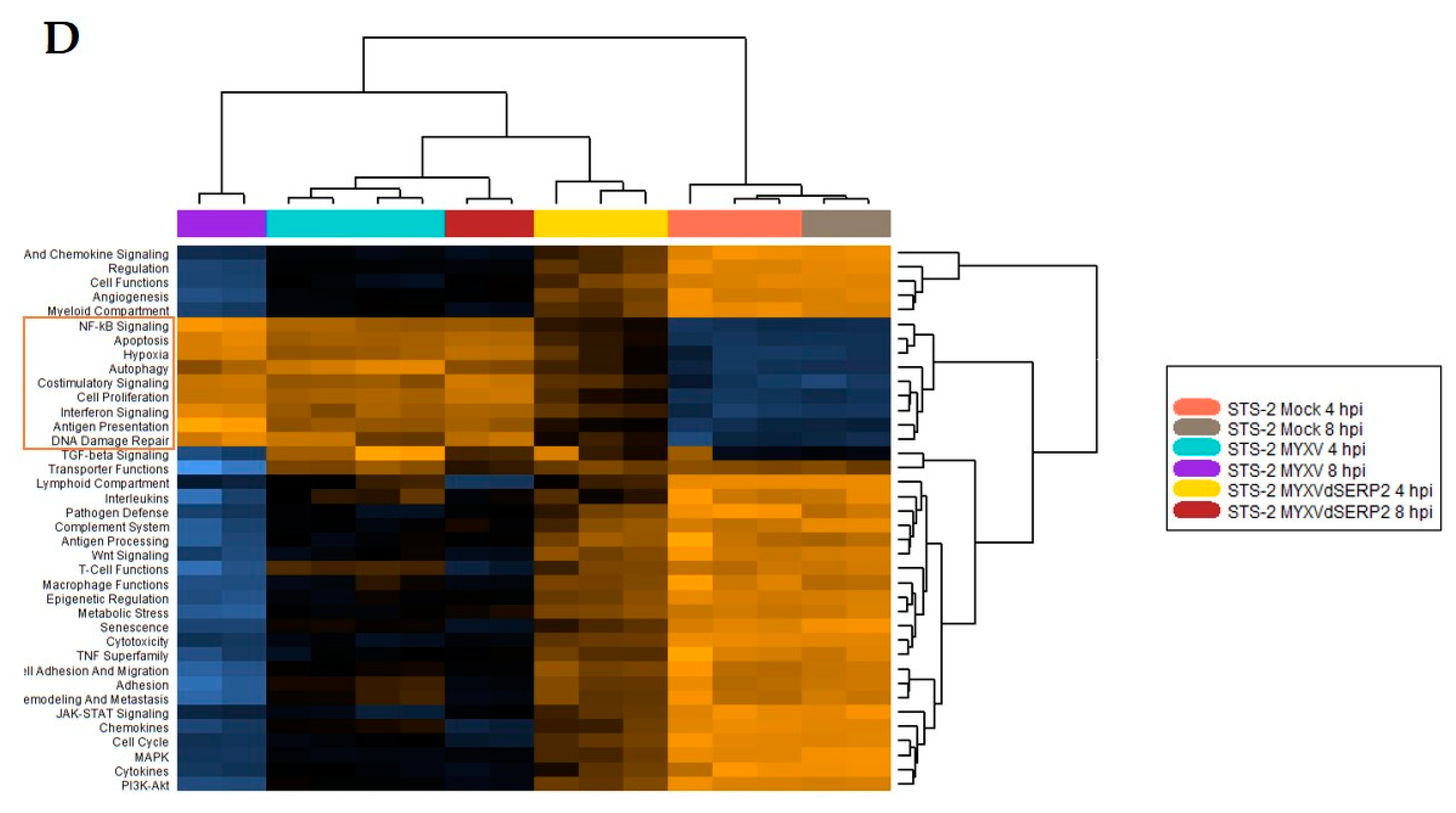 Preprints 79738 g005b