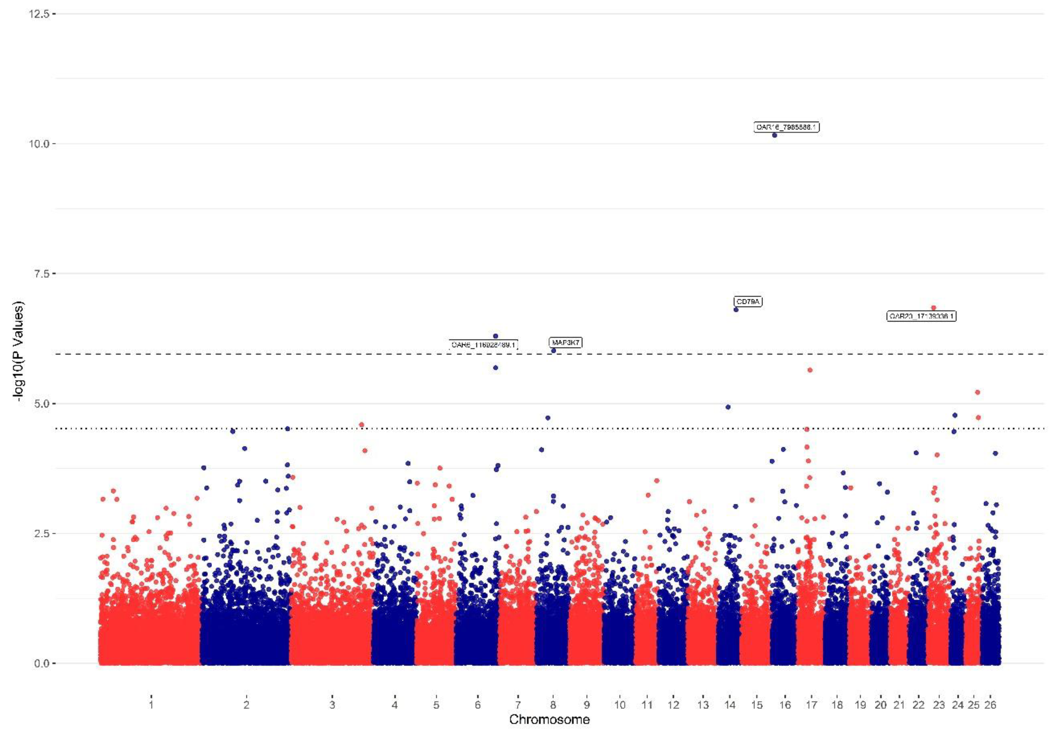 Preprints 117427 g001