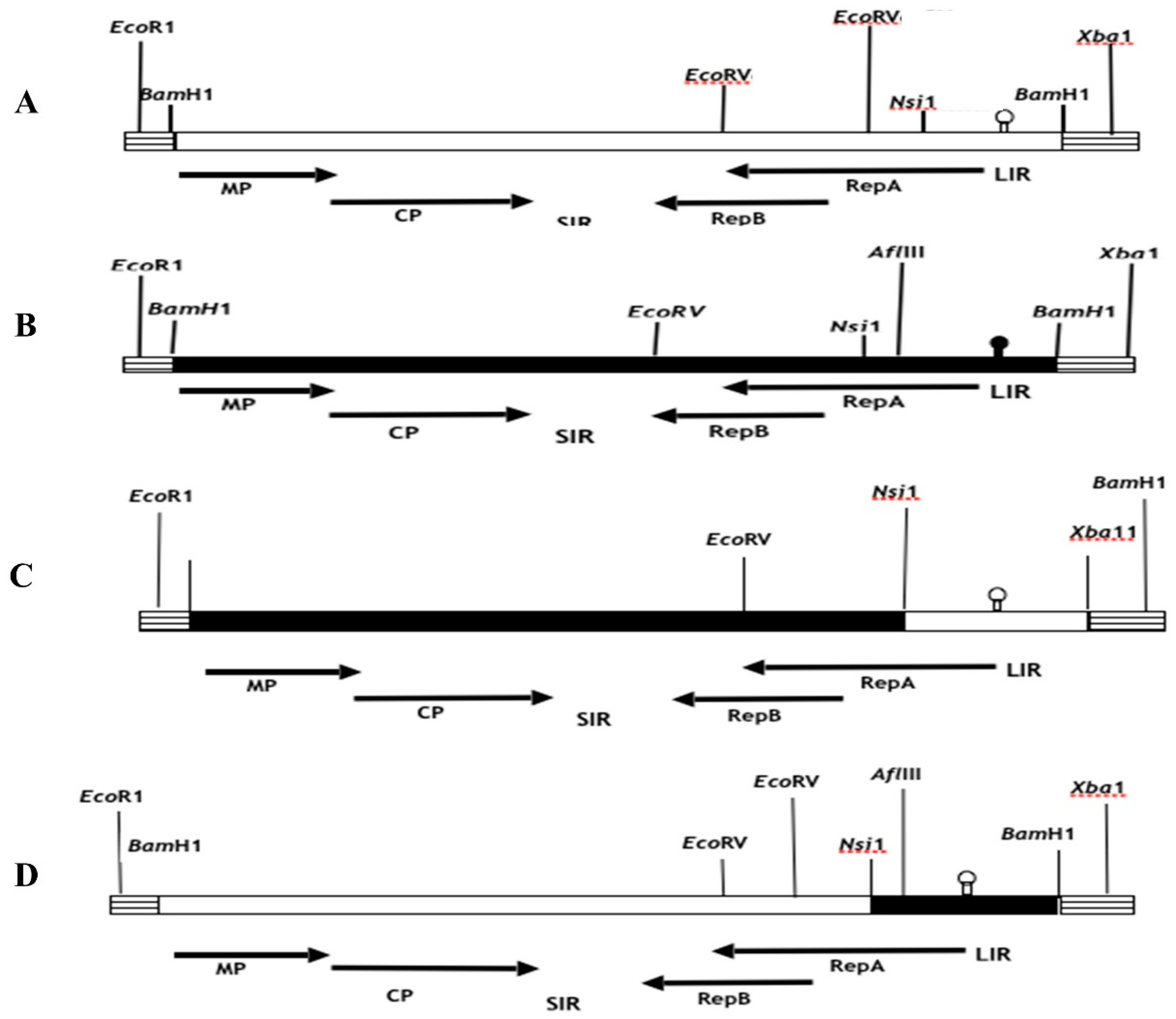 Preprints 90387 g001