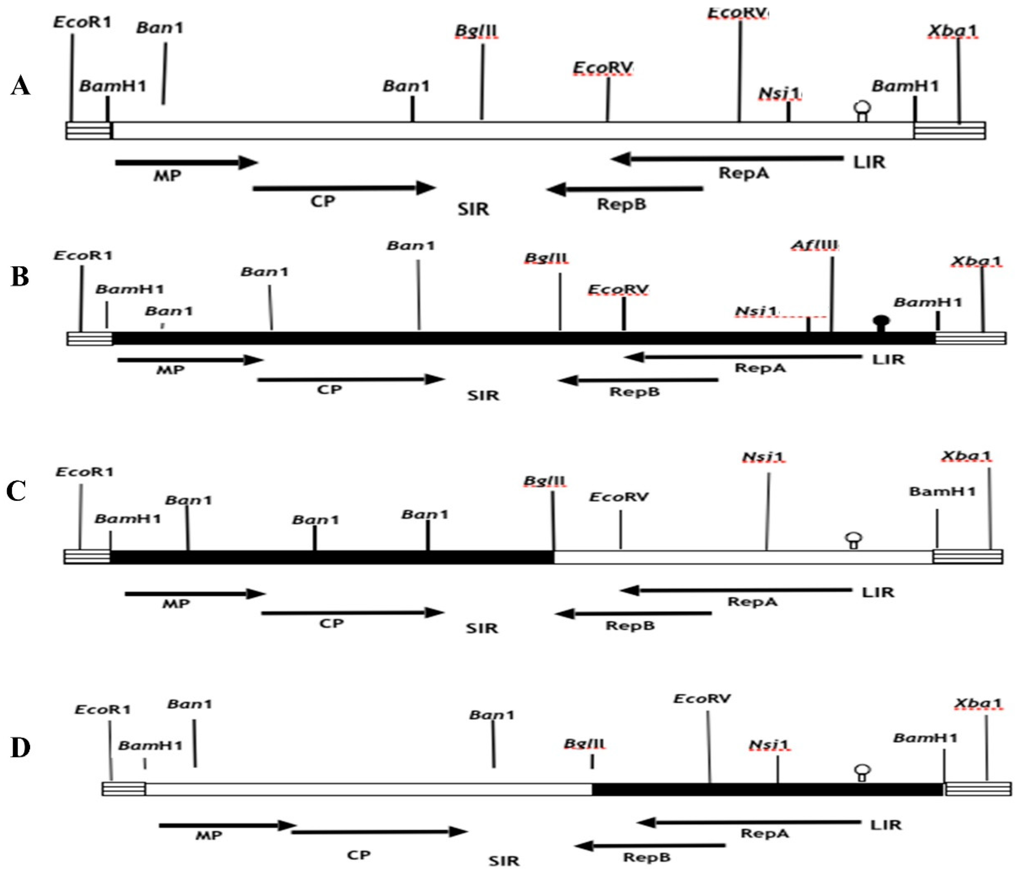 Preprints 90387 g002