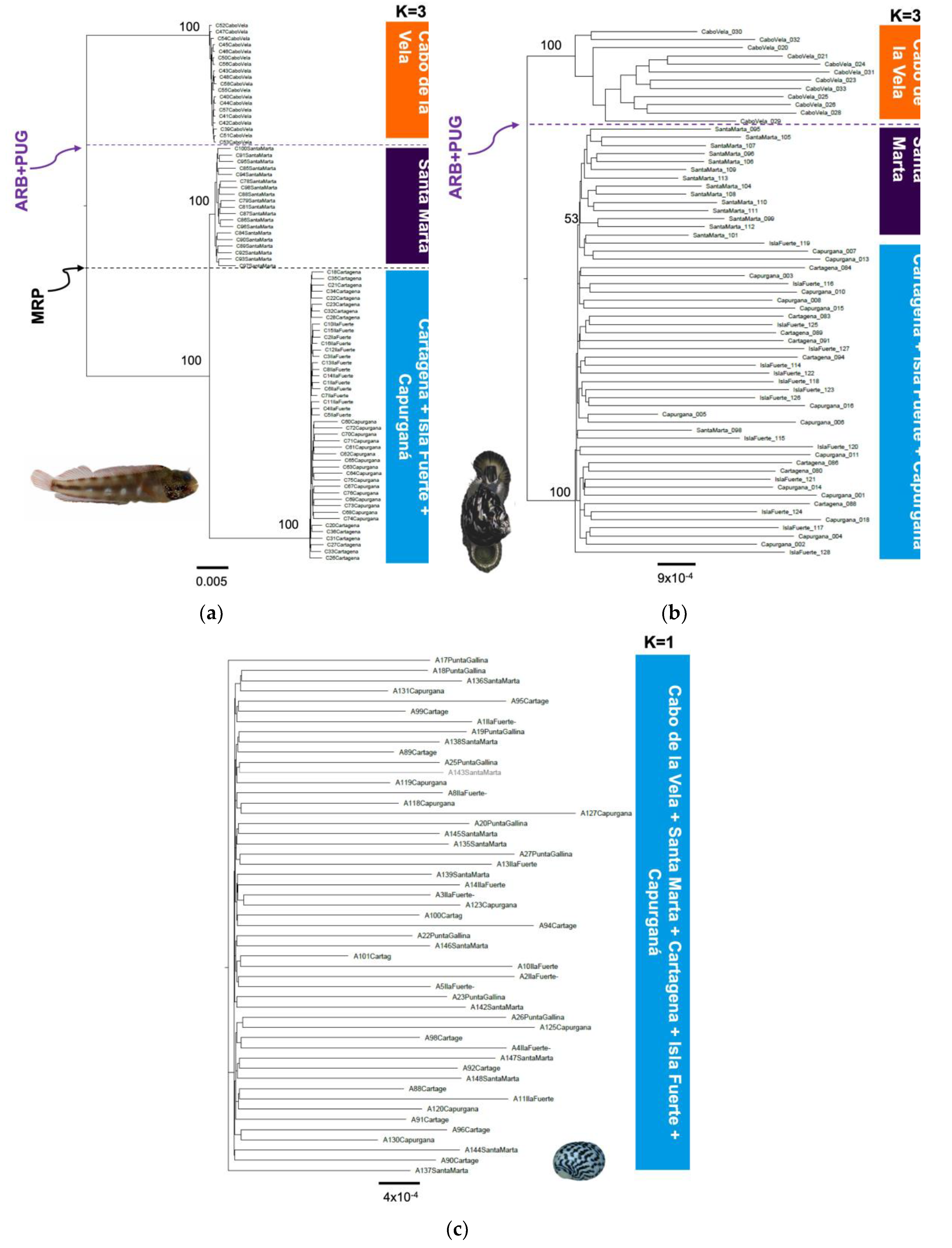 Preprints 73342 g003