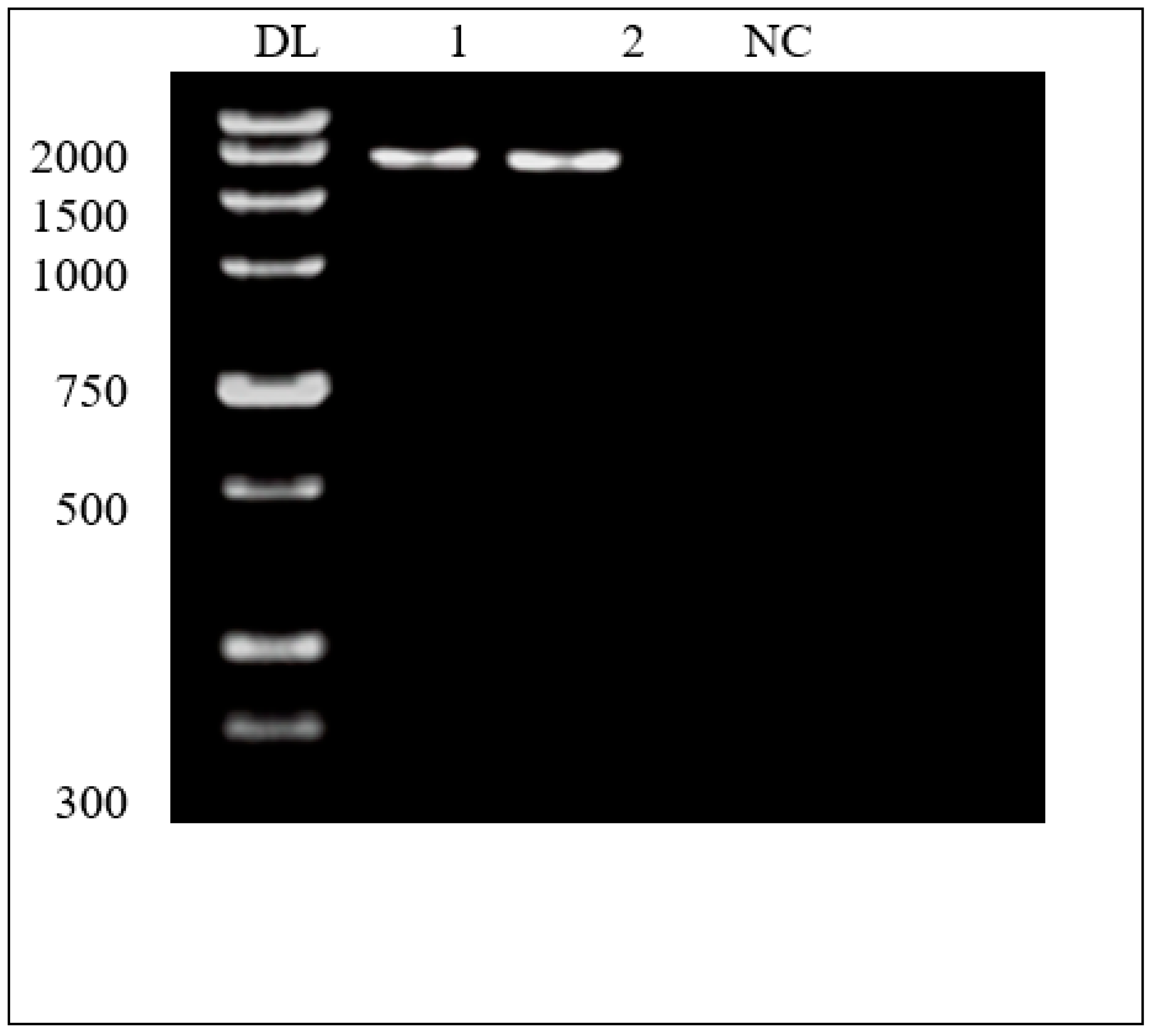 Preprints 69488 g004