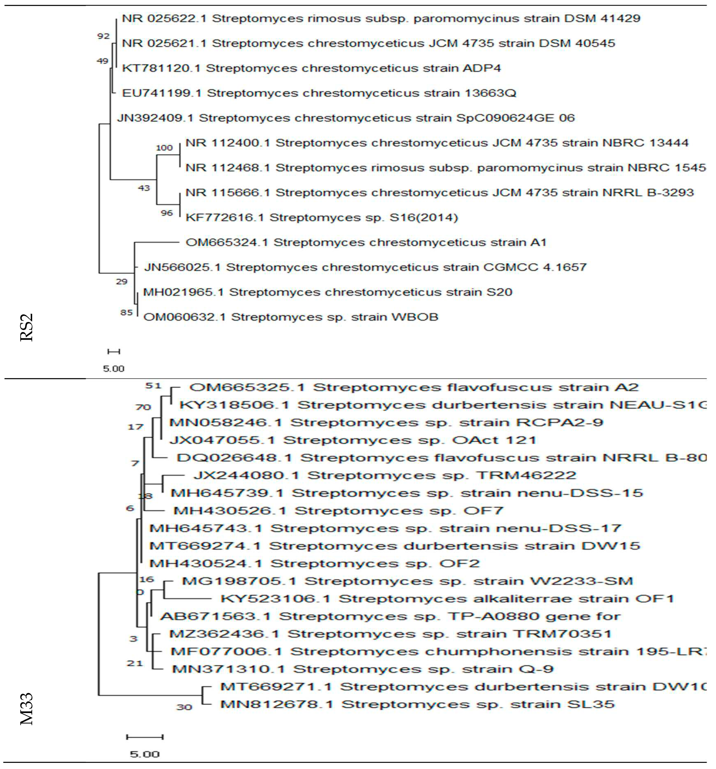 Preprints 69488 g005