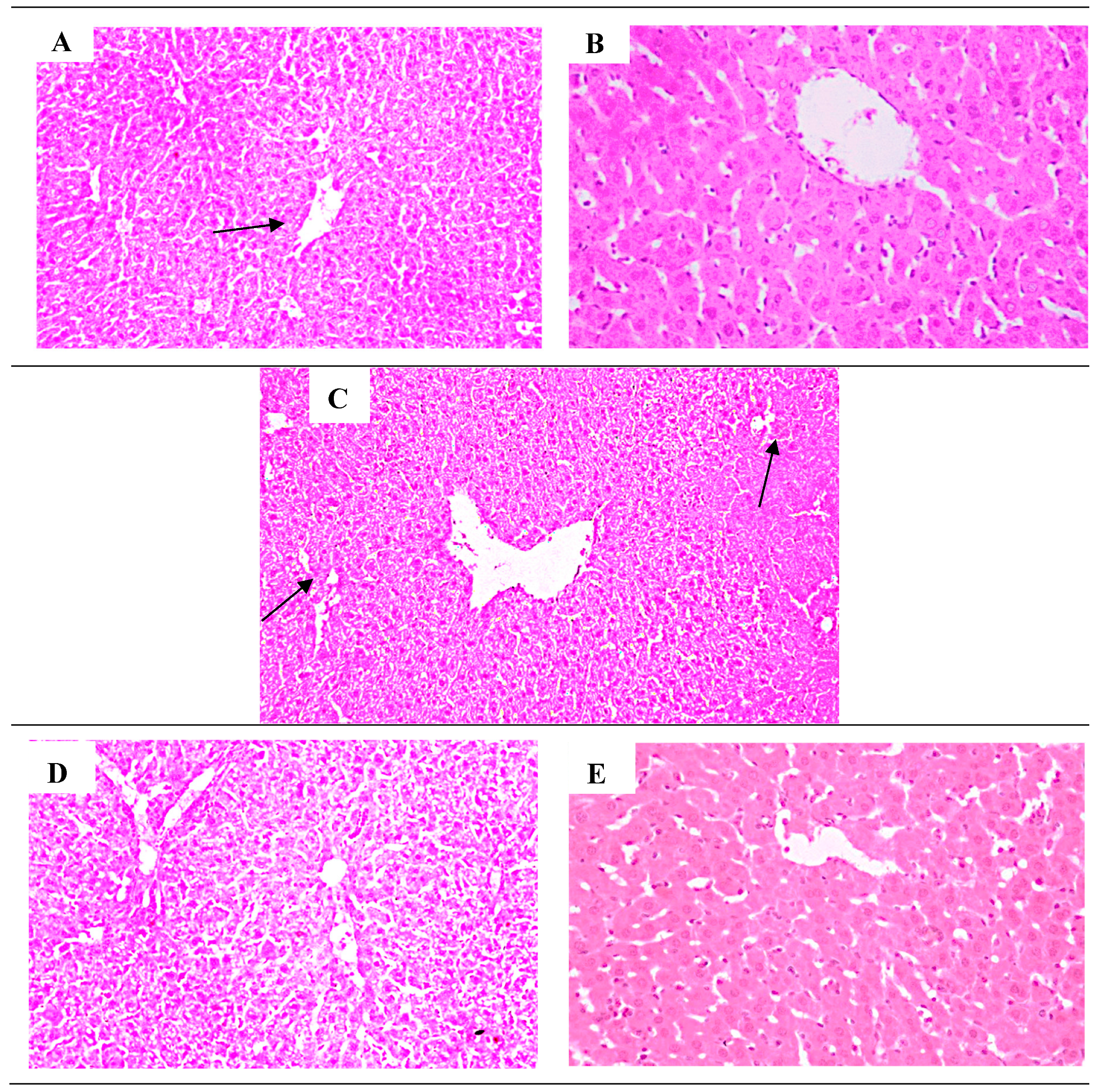 Preprints 69488 g007