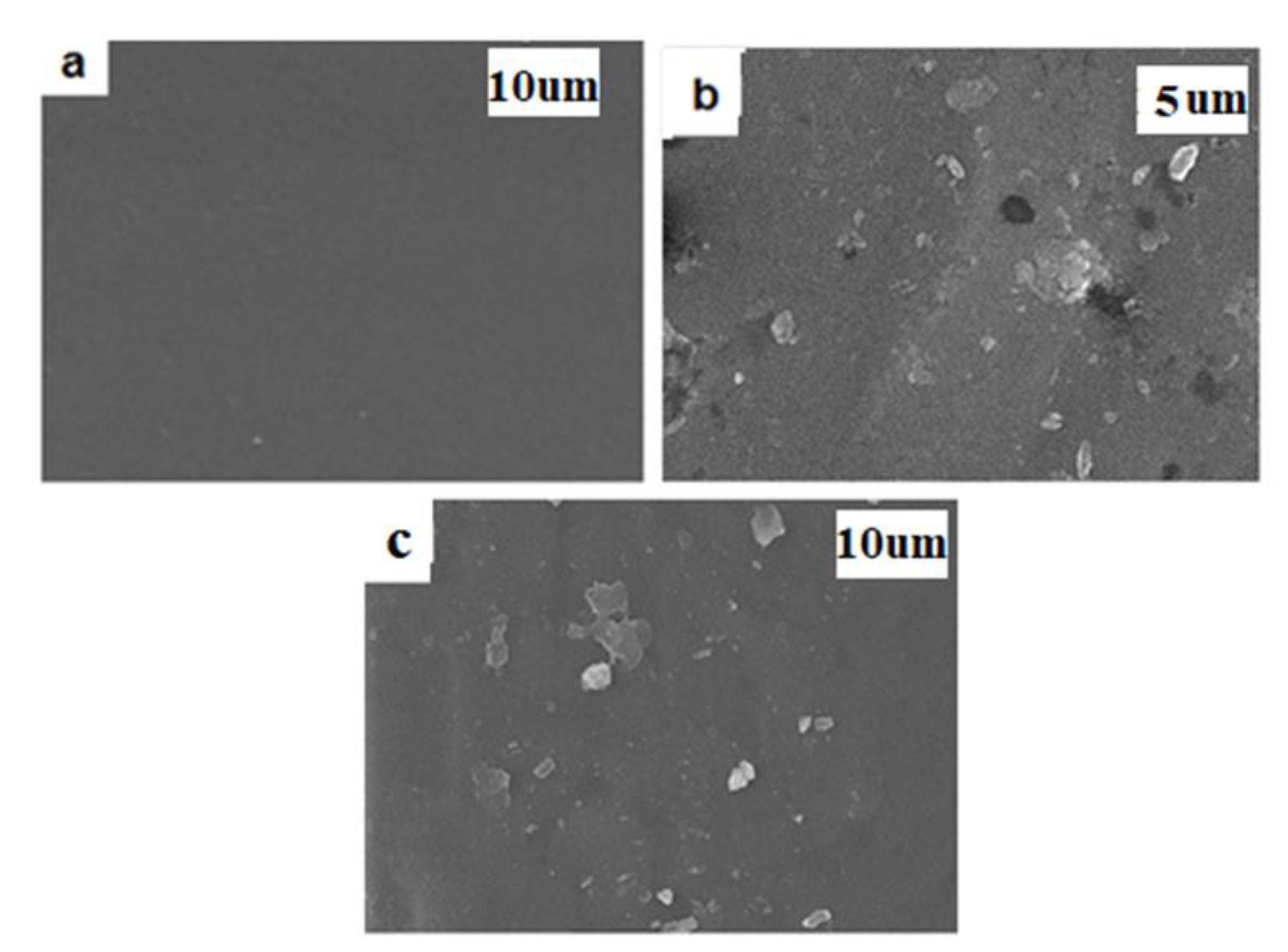 Preprints 107261 g004