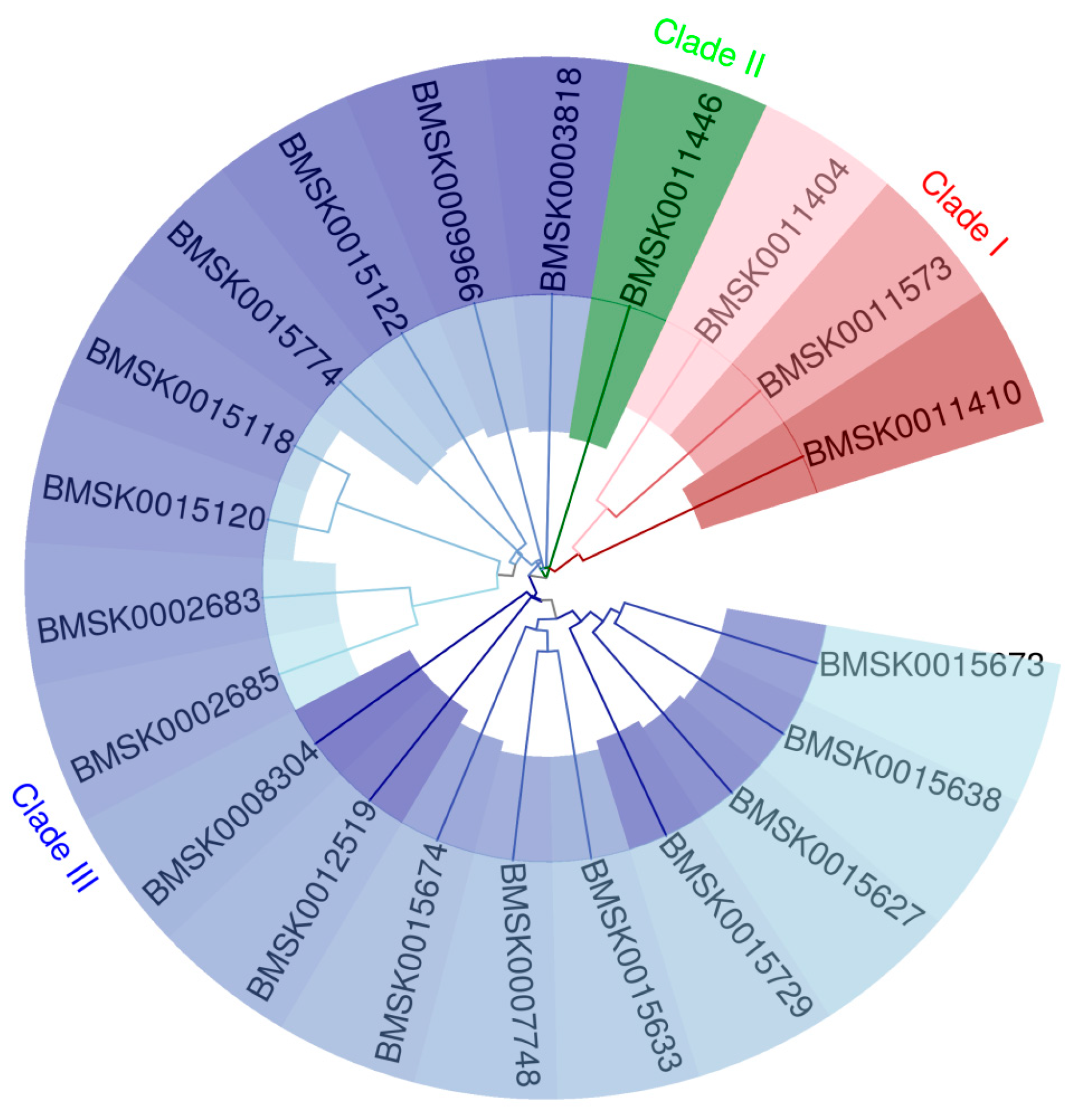 Preprints 89768 g001