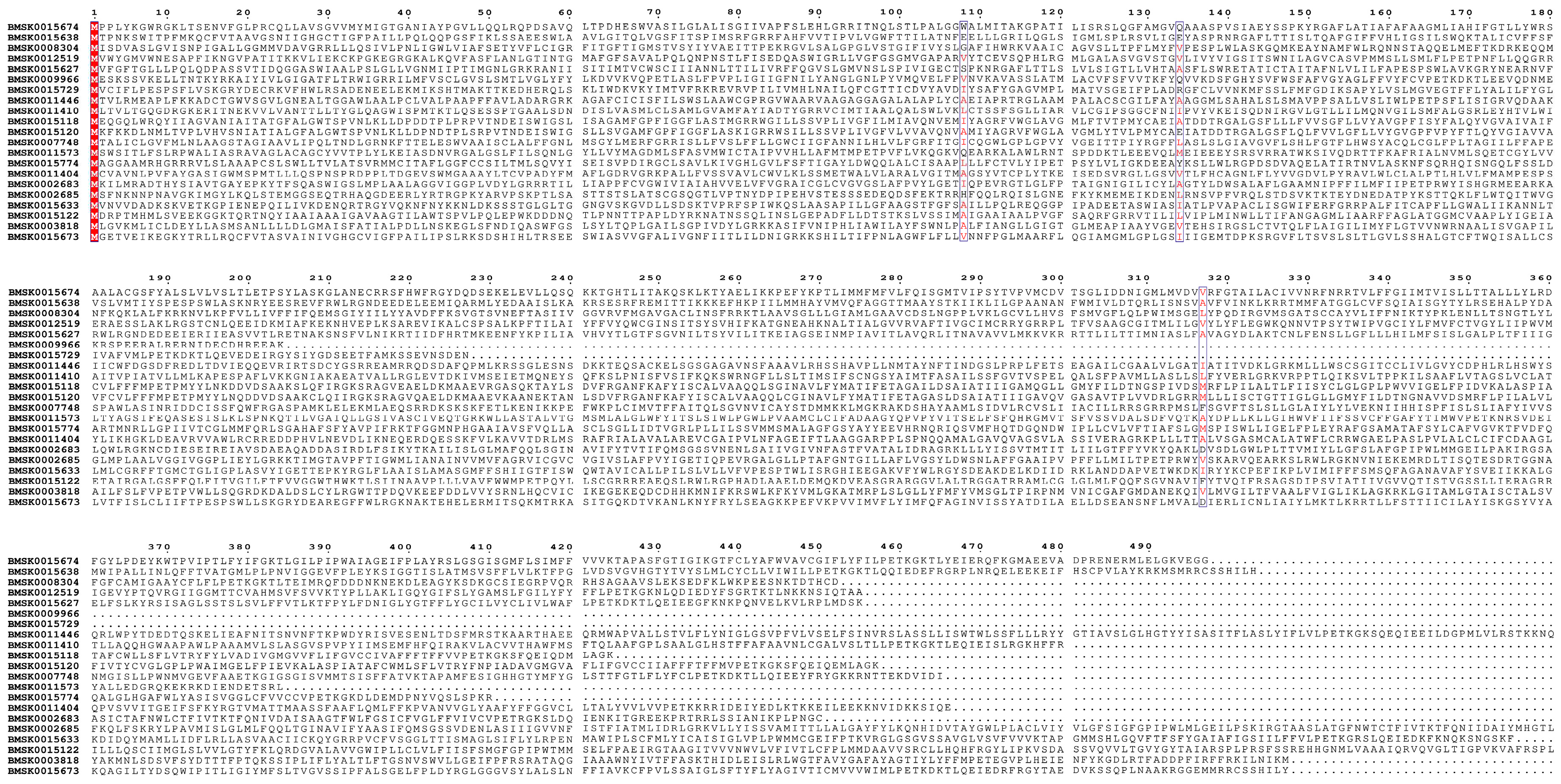 Preprints 89768 g003