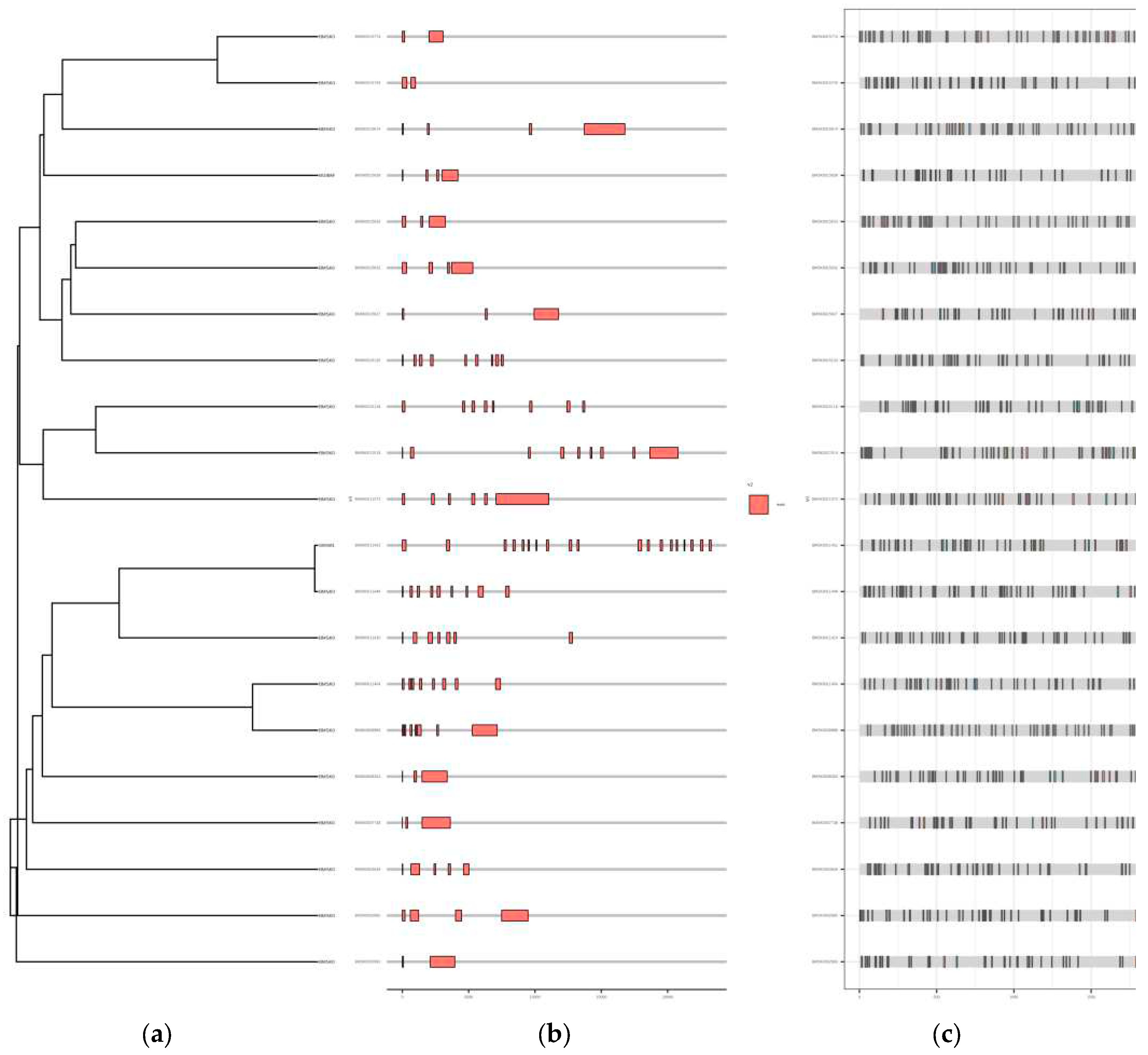 Preprints 89768 g004