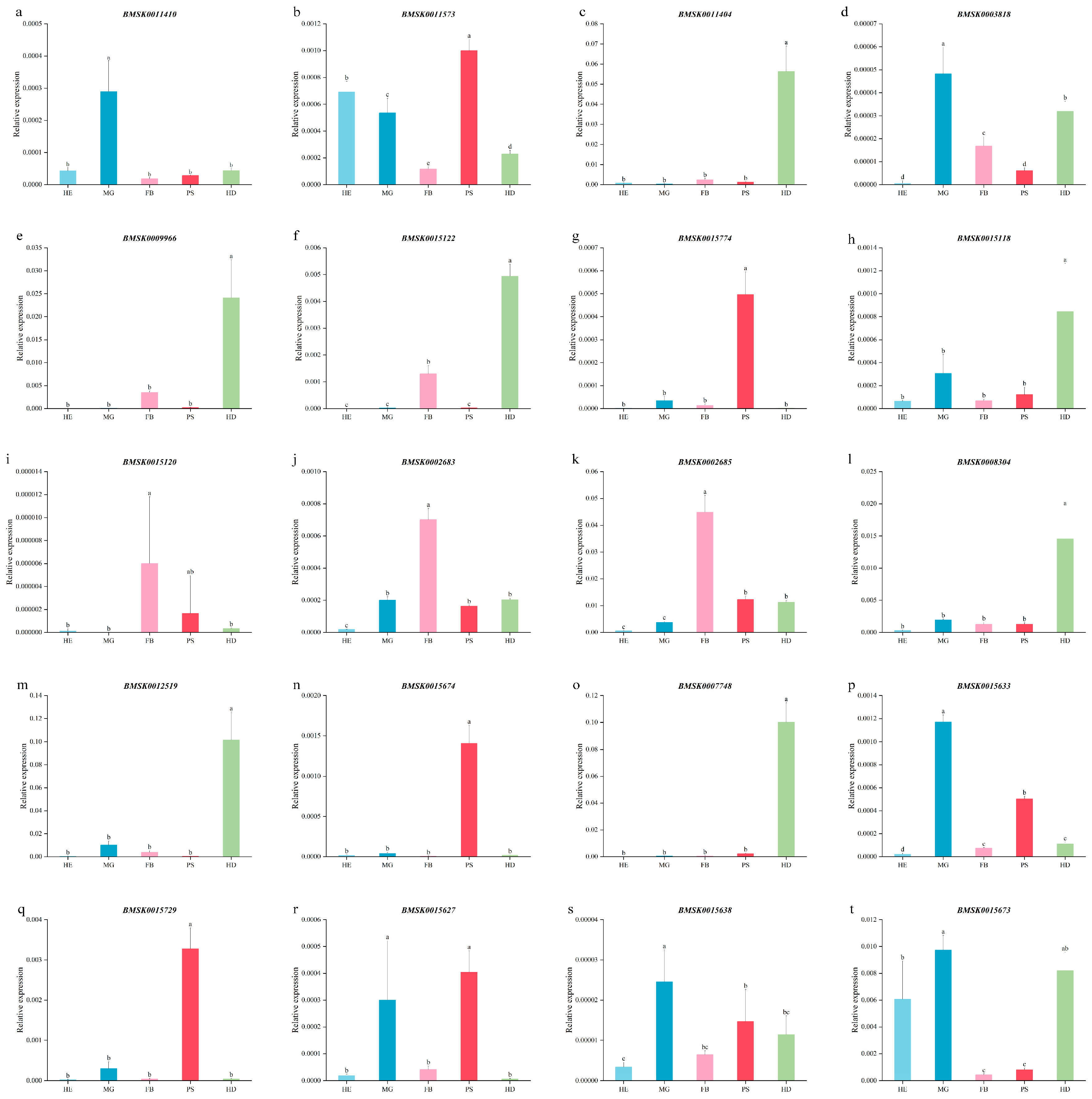 Preprints 89768 g005