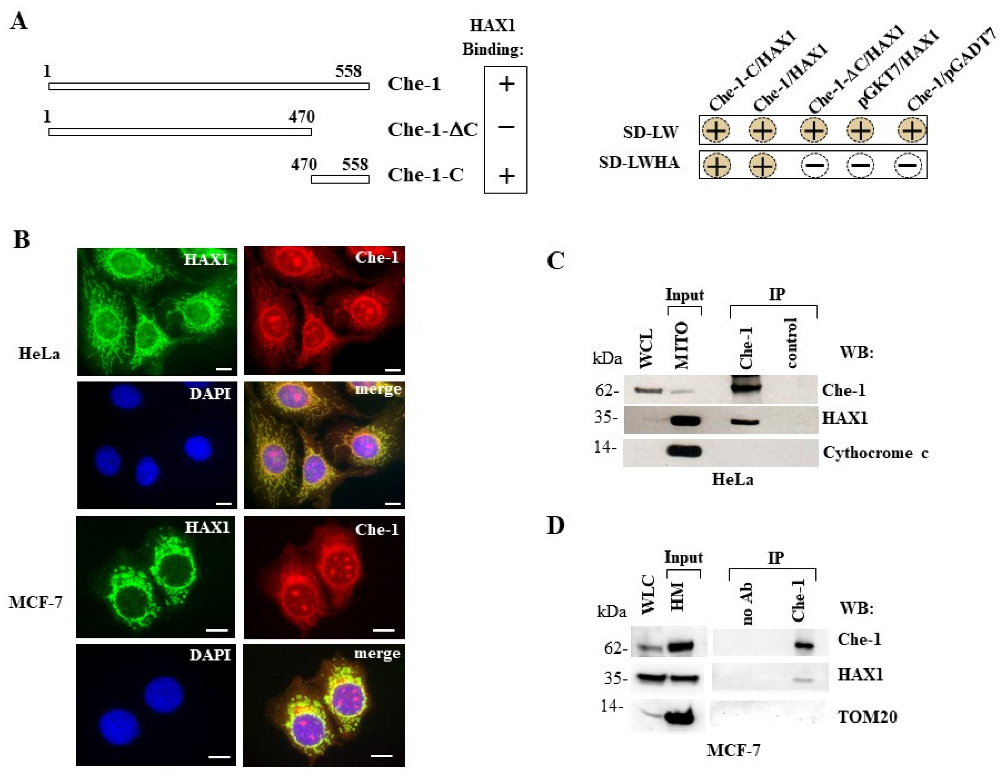 Preprints 68728 g001