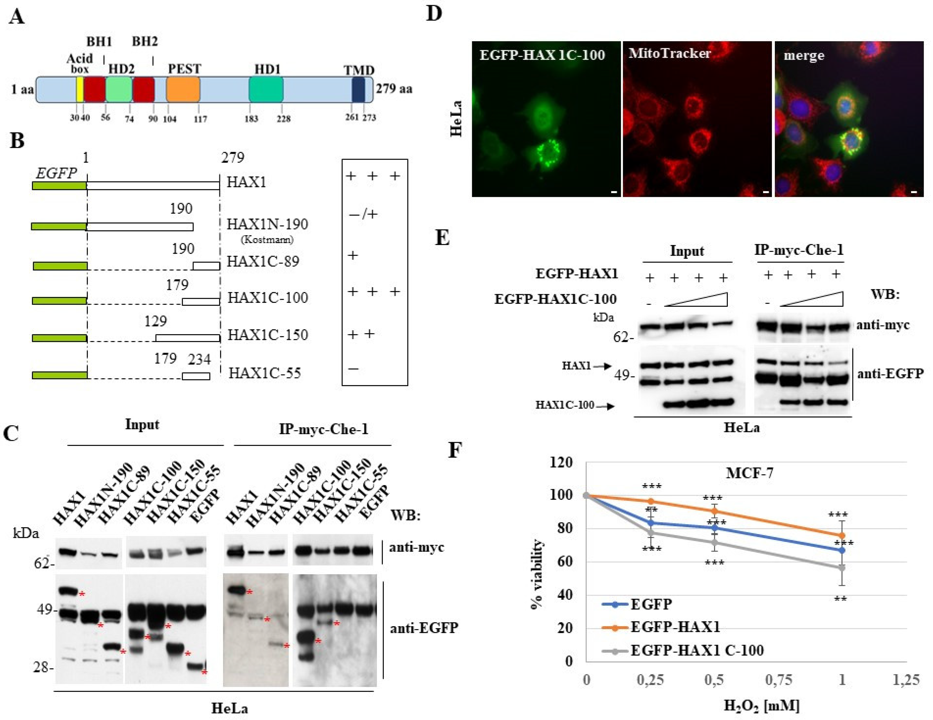 Preprints 68728 g002