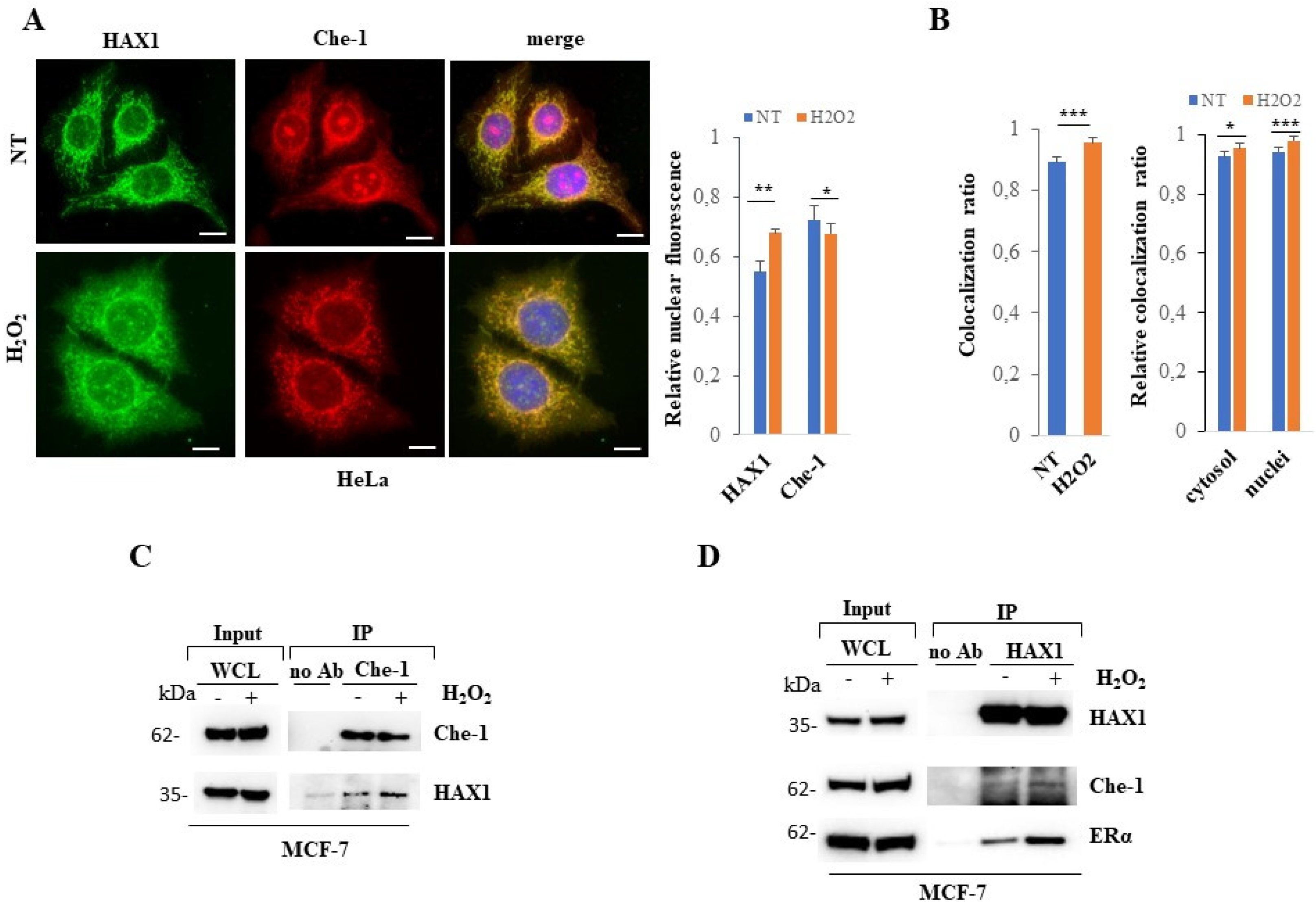 Preprints 68728 g003