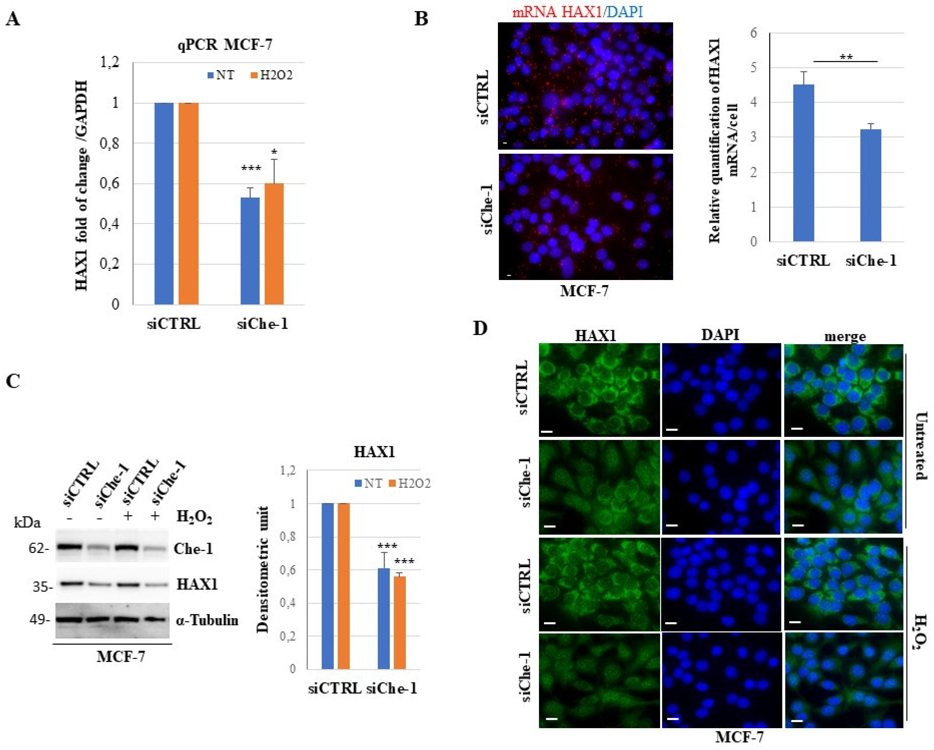 Preprints 68728 g004