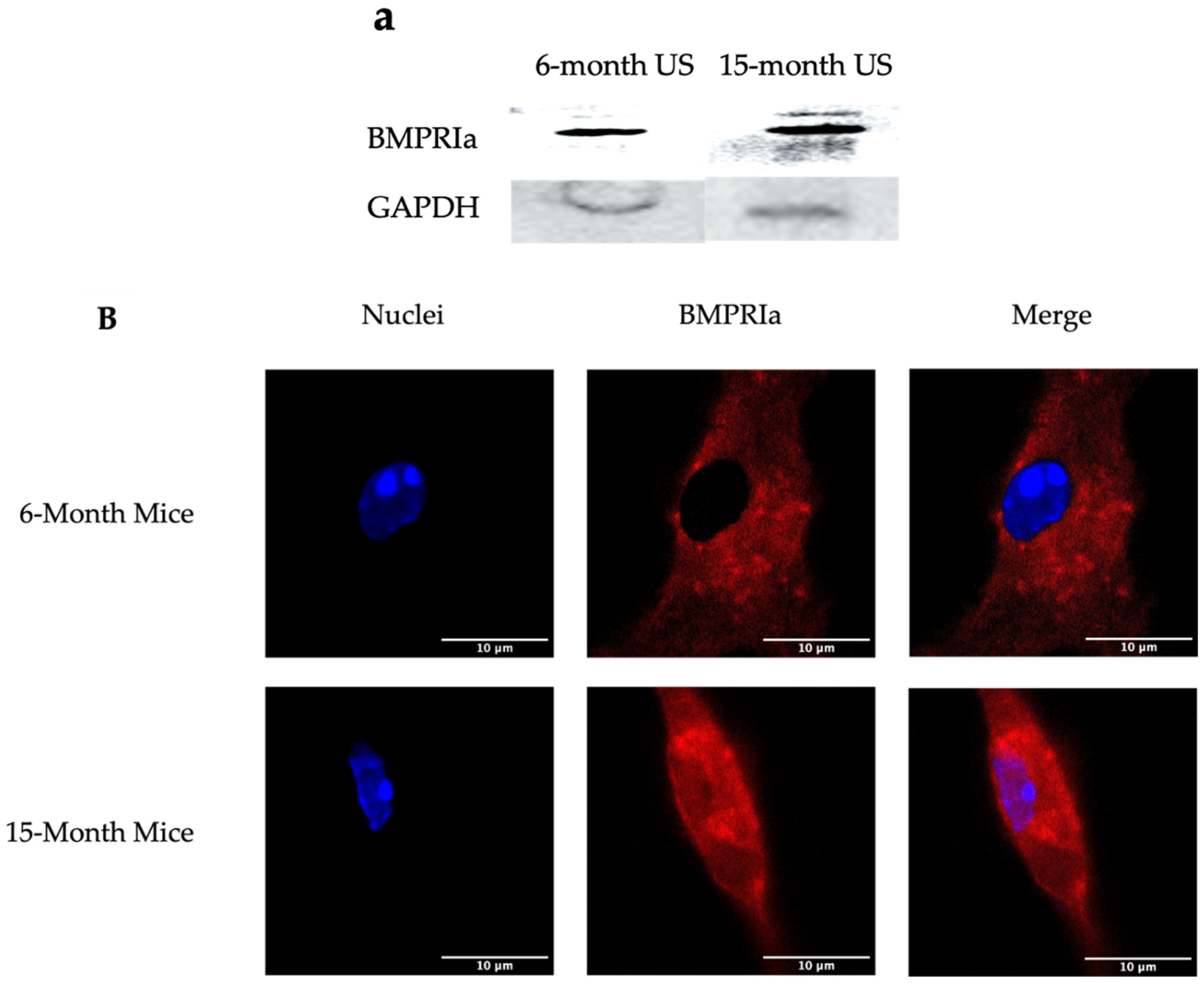 Preprints 91346 g001