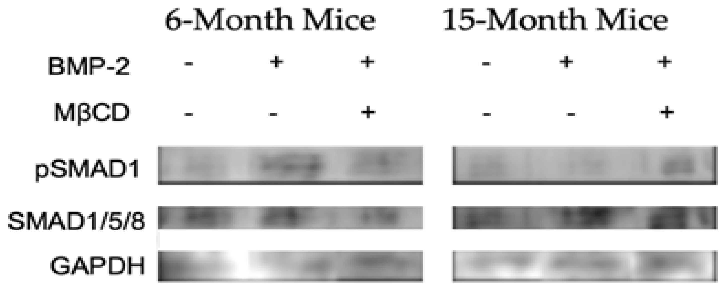 Preprints 91346 g005