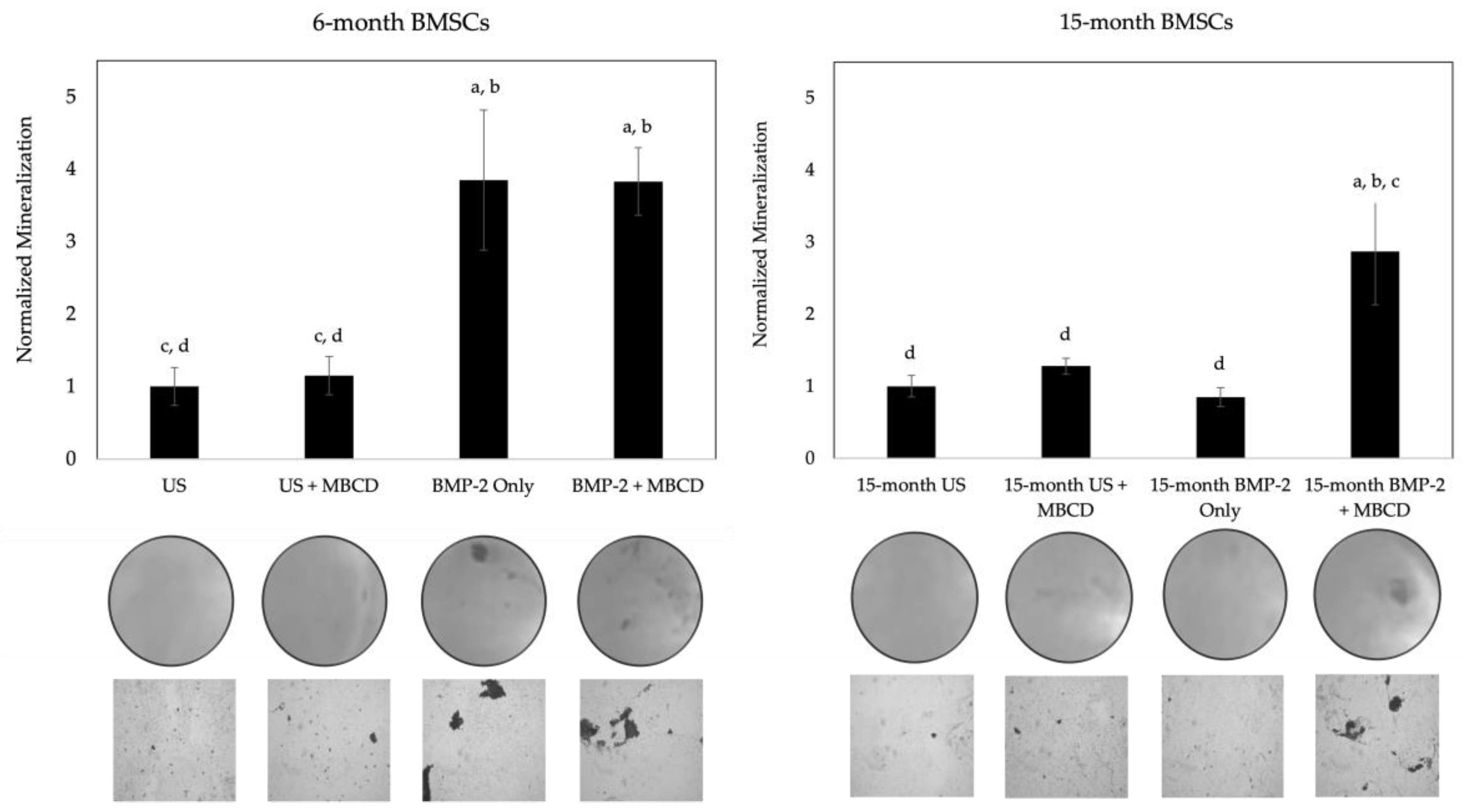 Preprints 91346 g006