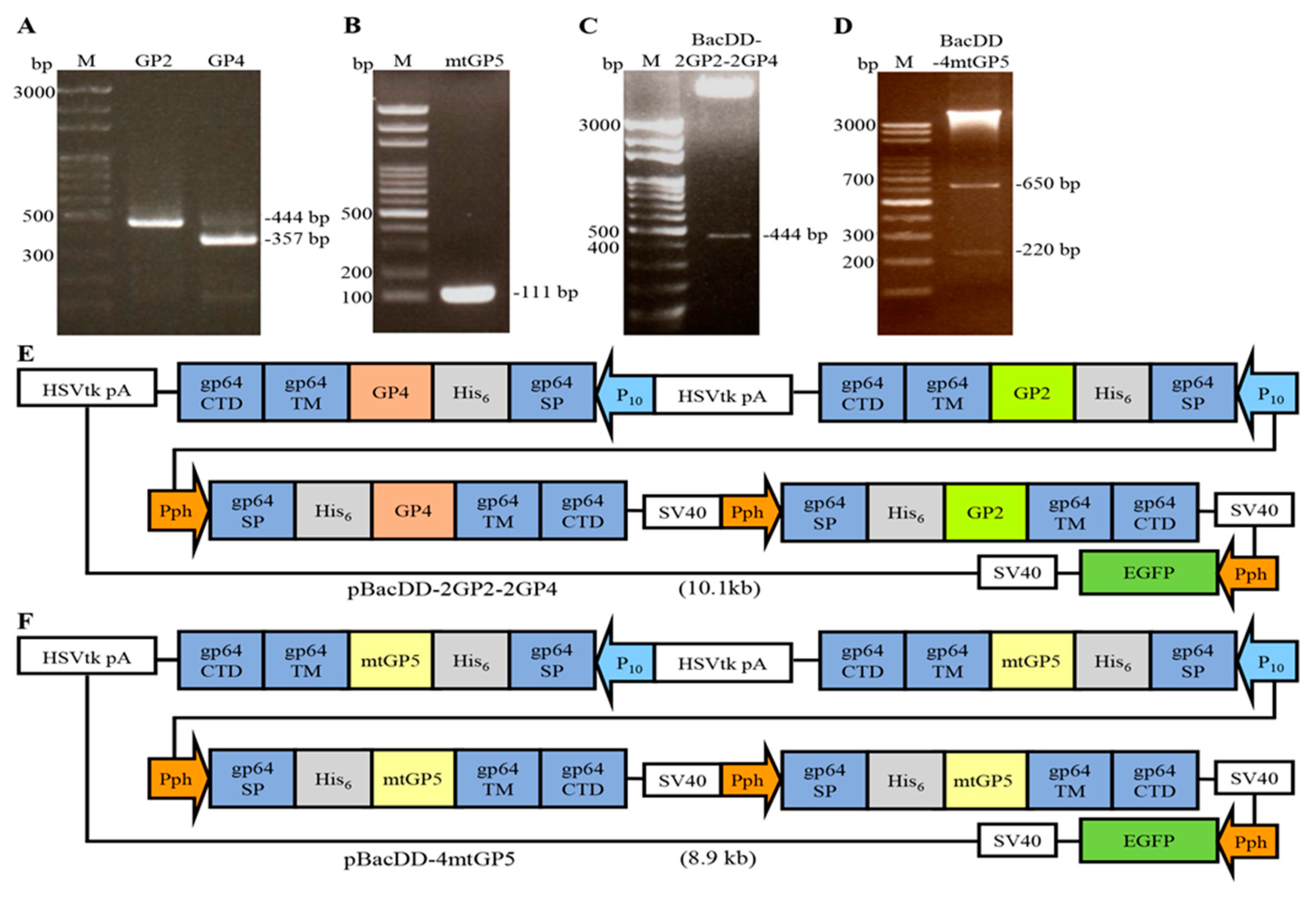 Preprints 82168 g001