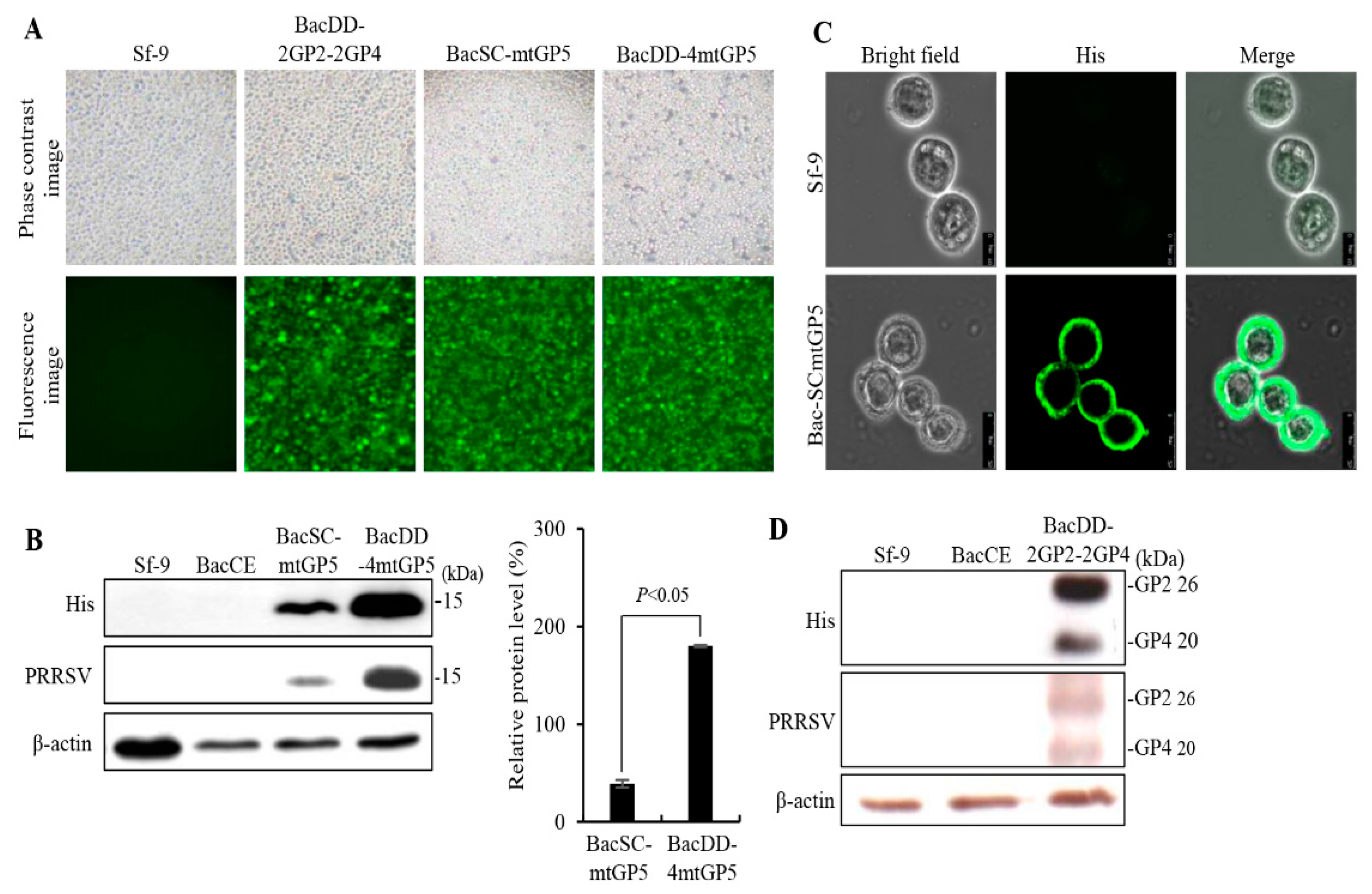 Preprints 82168 g002