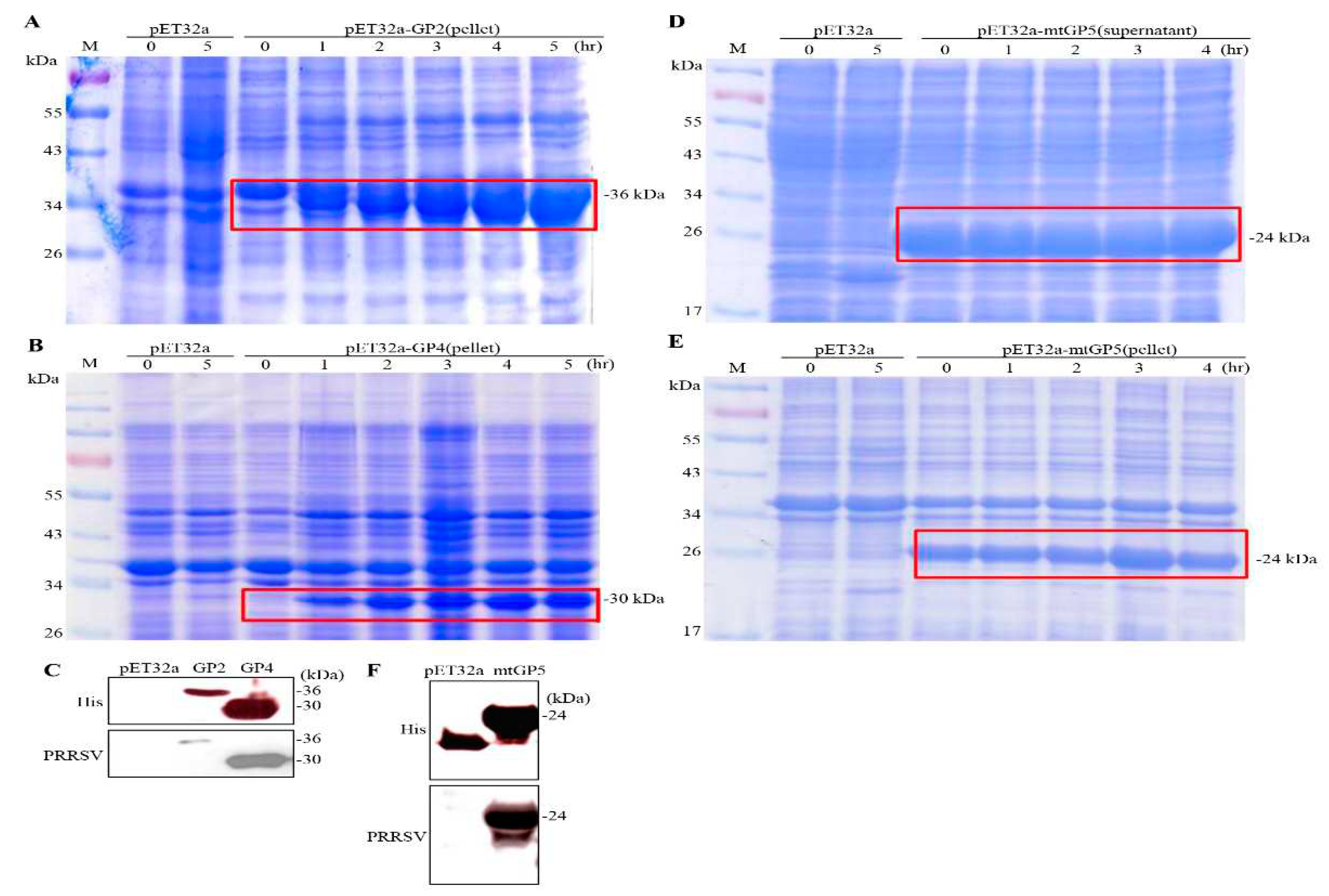 Preprints 82168 g005