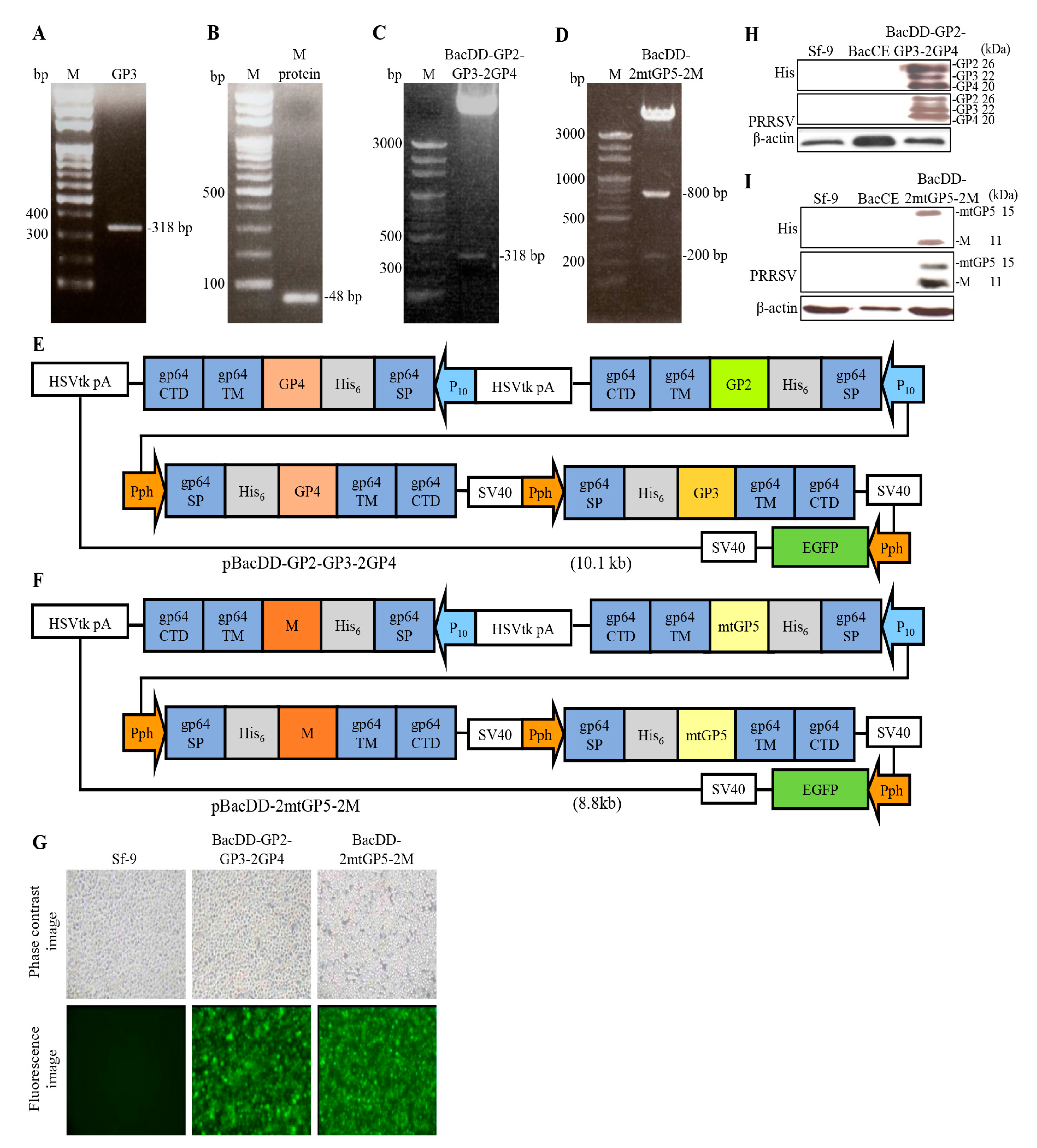 Preprints 82168 g007