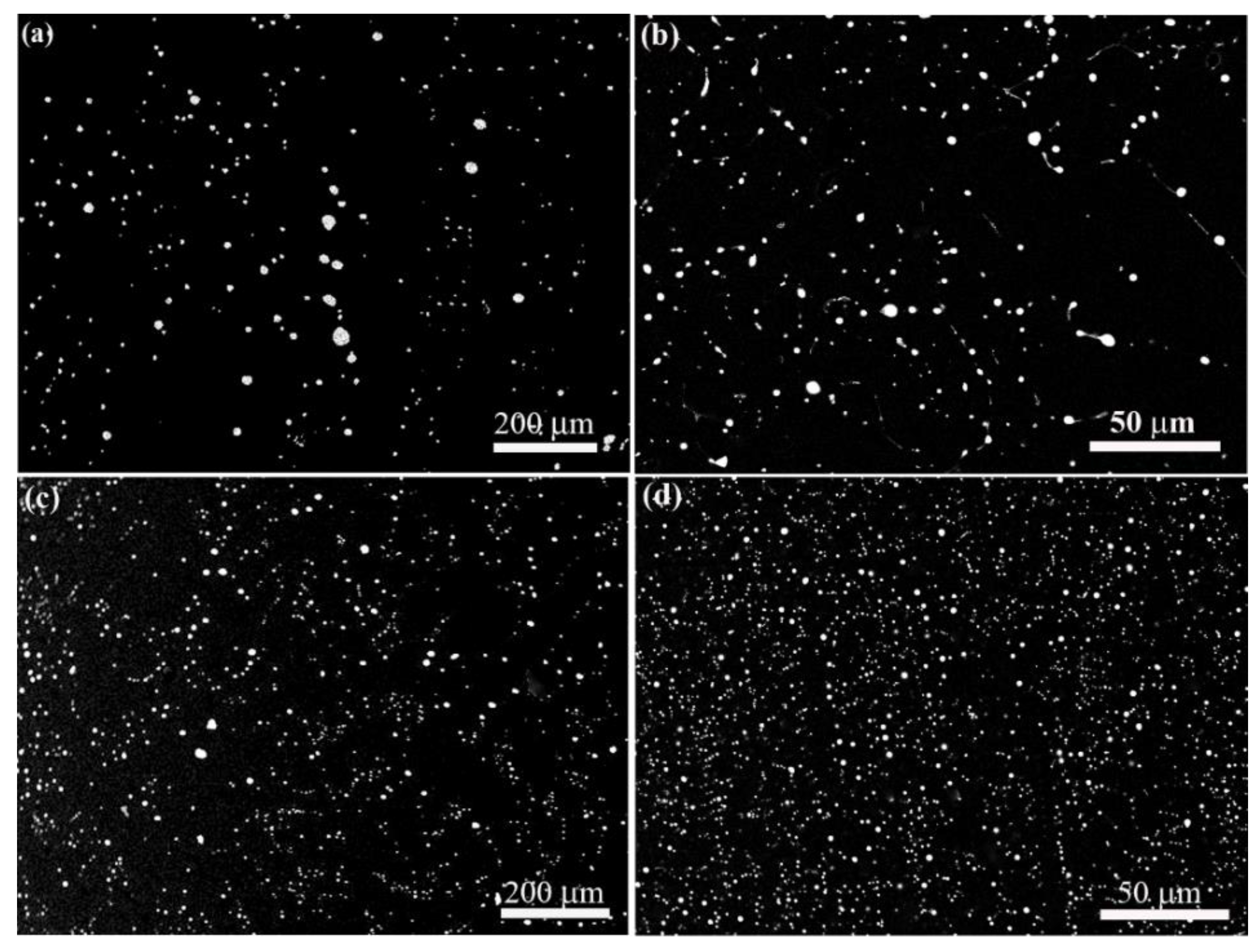 Preprints 87148 g002