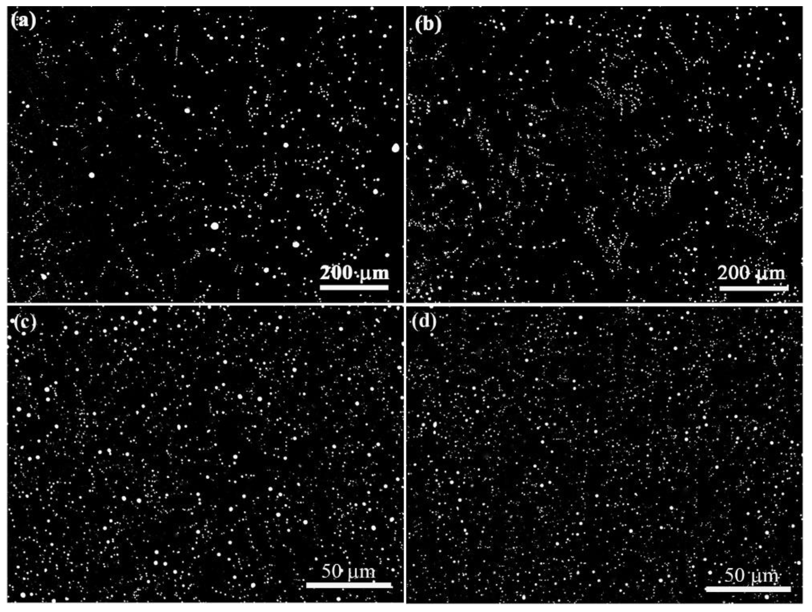 Preprints 87148 g006