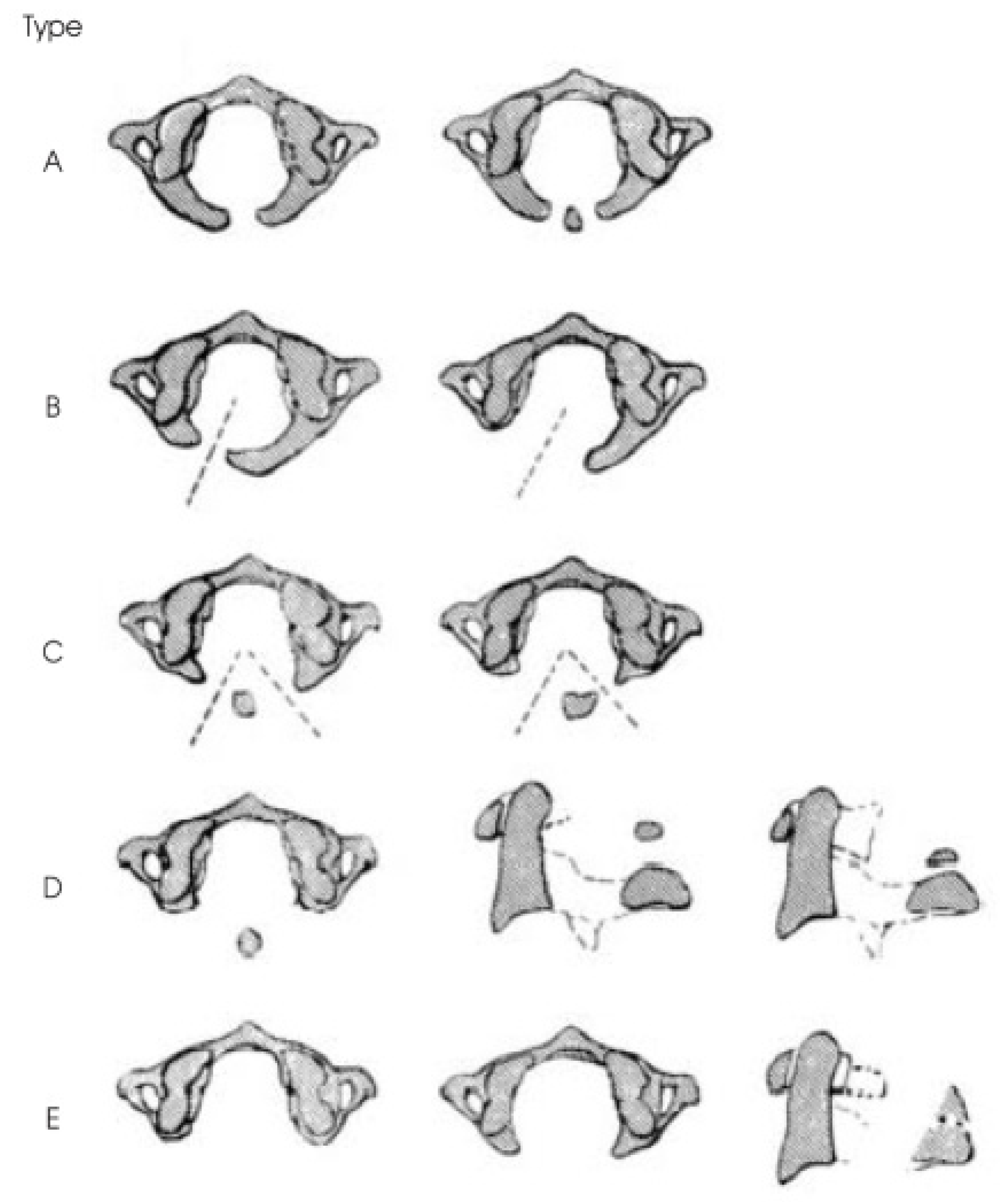 Preprints 114650 g001