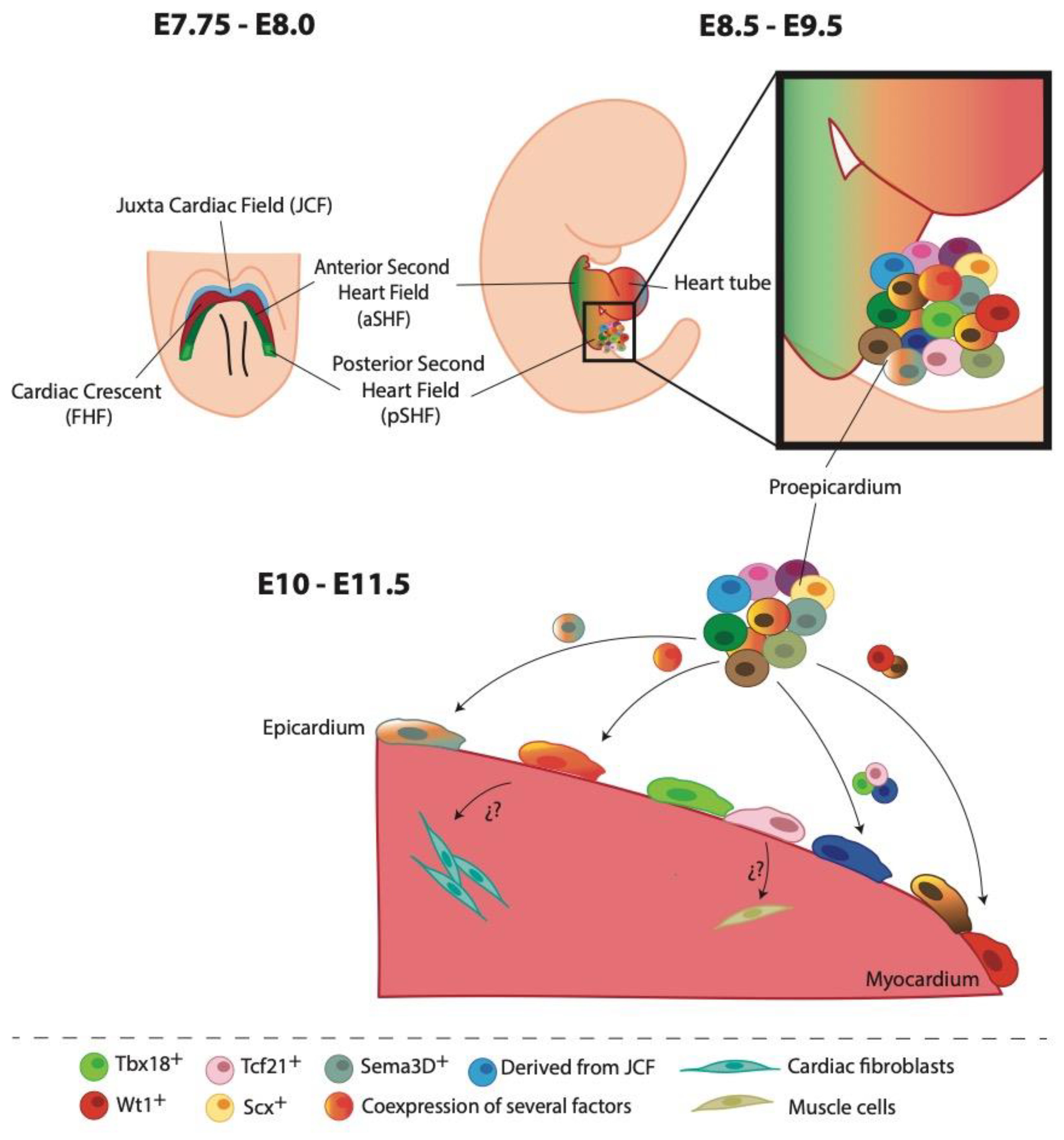 Preprints 80746 g001