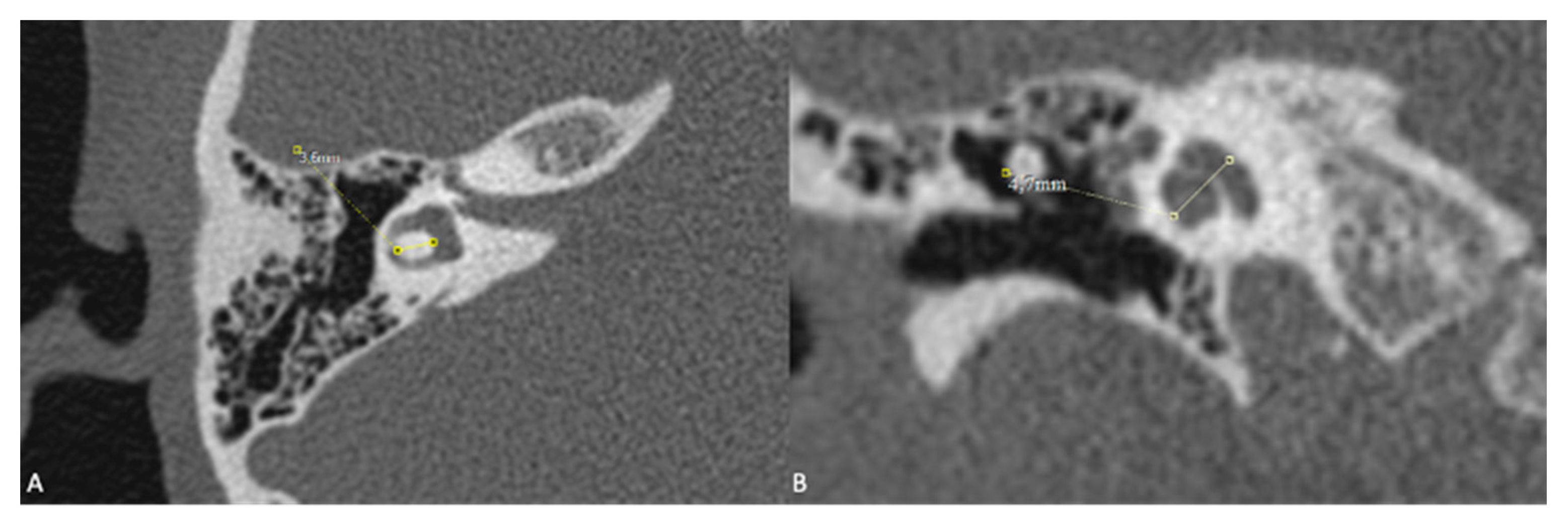 Preprints 138767 g002