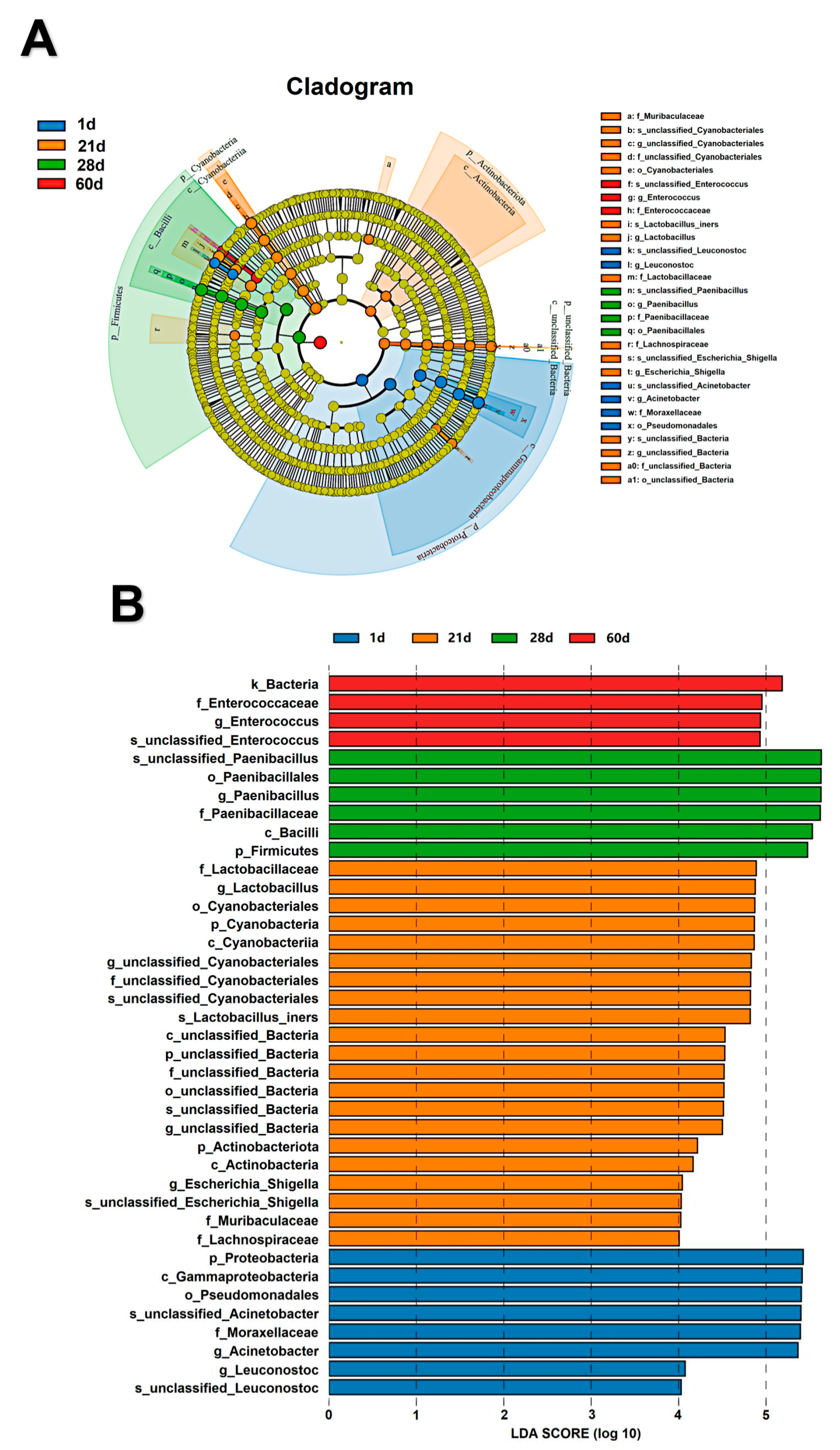 Preprints 80346 g005